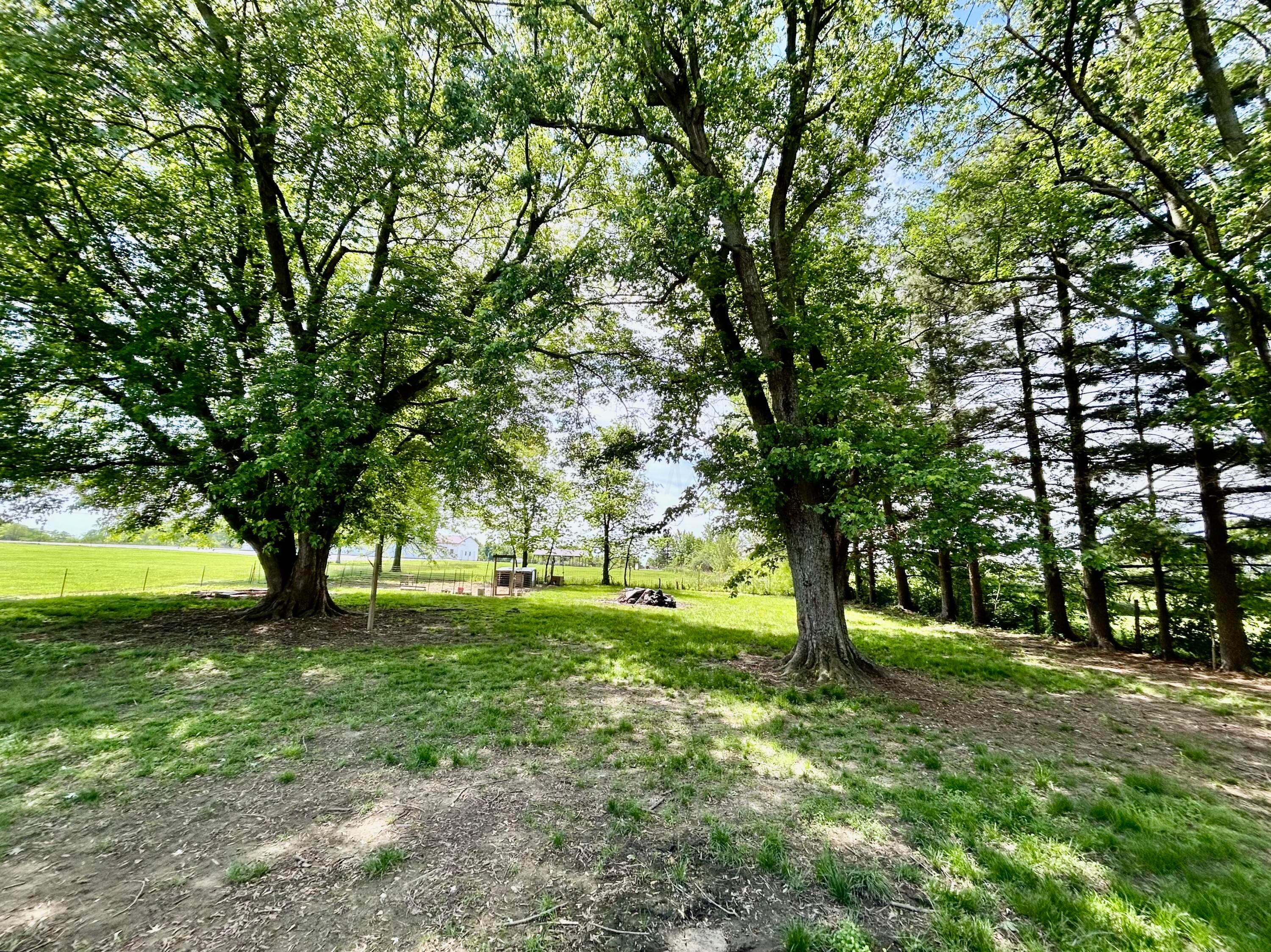 10070 Wolfe Road, New Vienna, Ohio image 22
