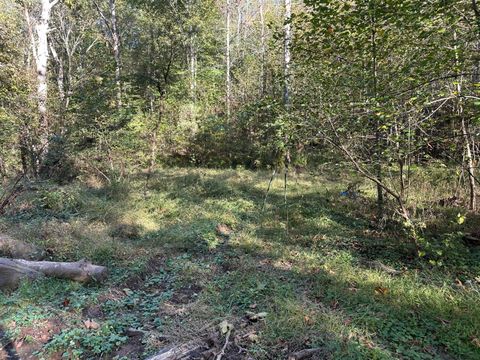 Photo of 39454 Boston Road, Reedsville, OH 45772 (MLS # 225039660)
