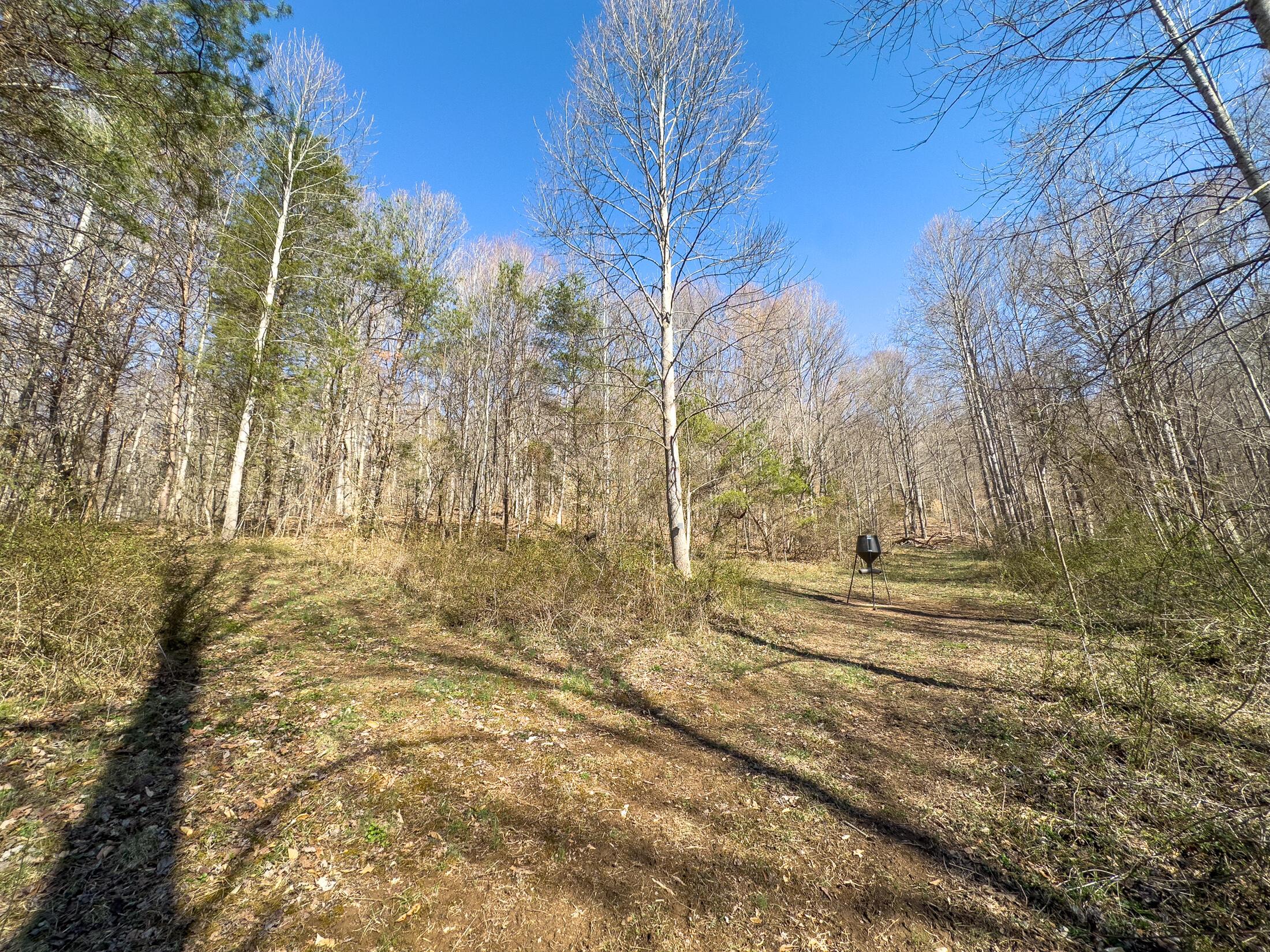 7583 Blue Creek Road, Stout, Ohio image 22