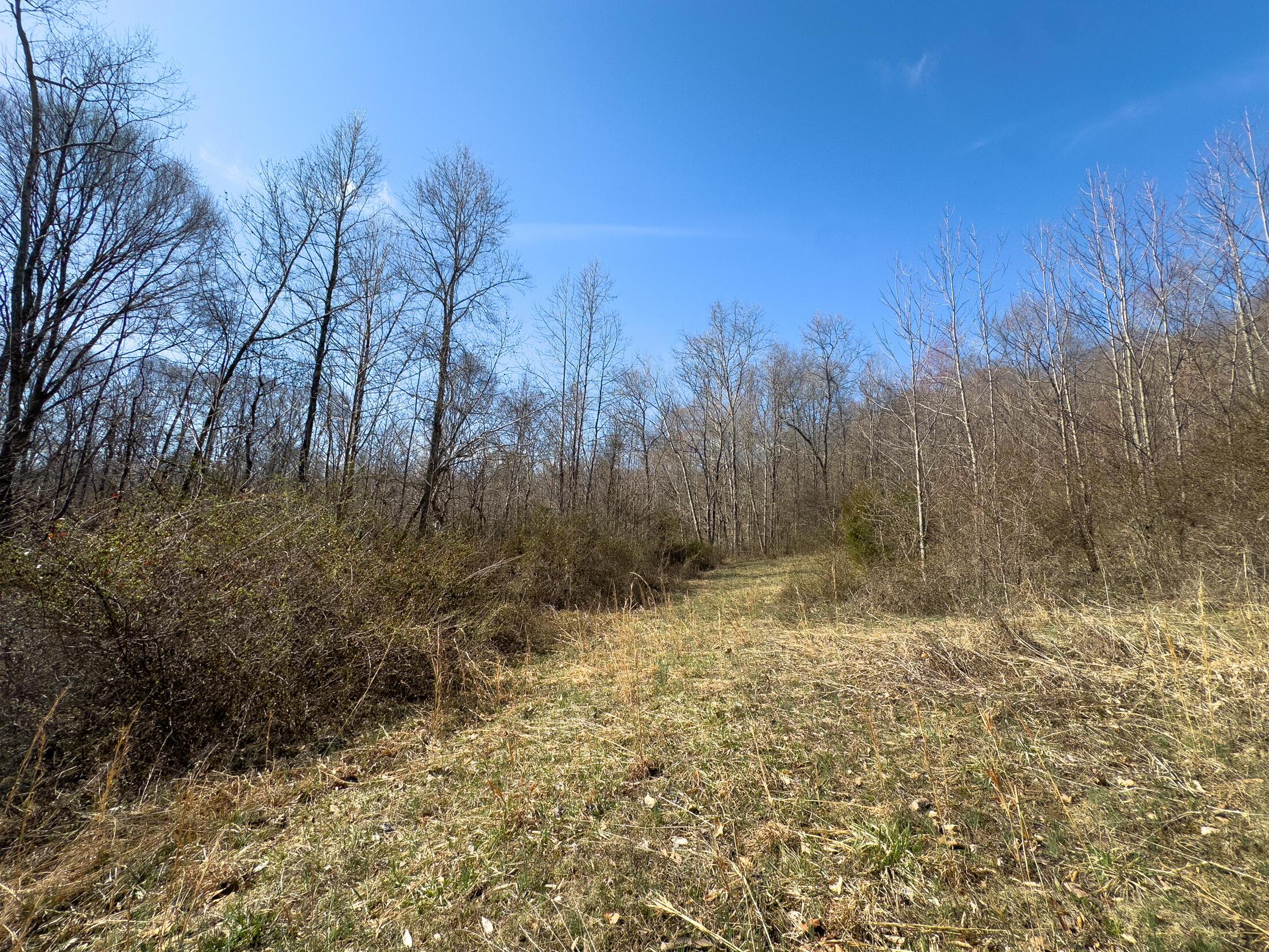 7583 Blue Creek Road, Stout, Ohio image 40