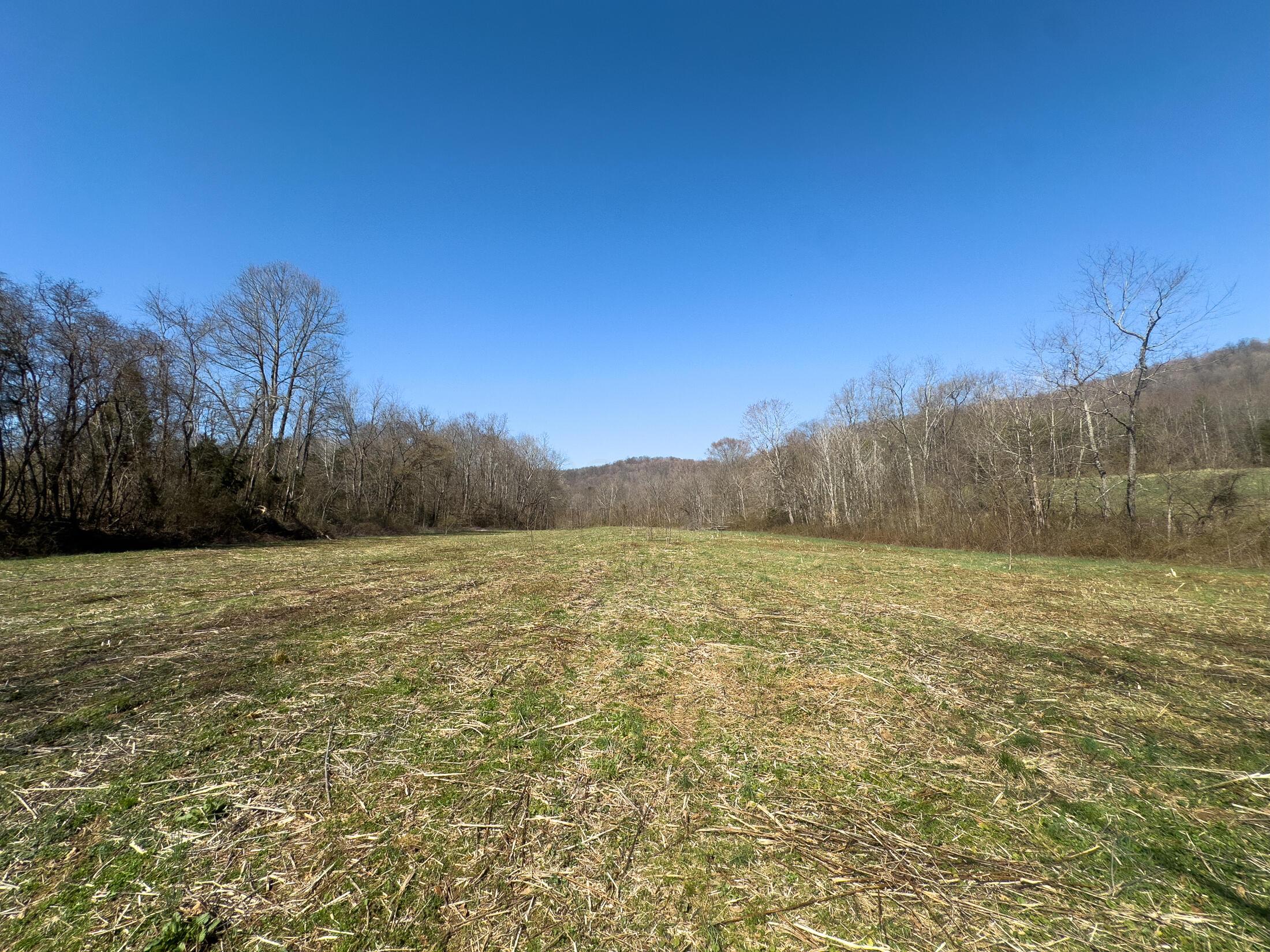 7583 Blue Creek Road, Stout, Ohio image 48
