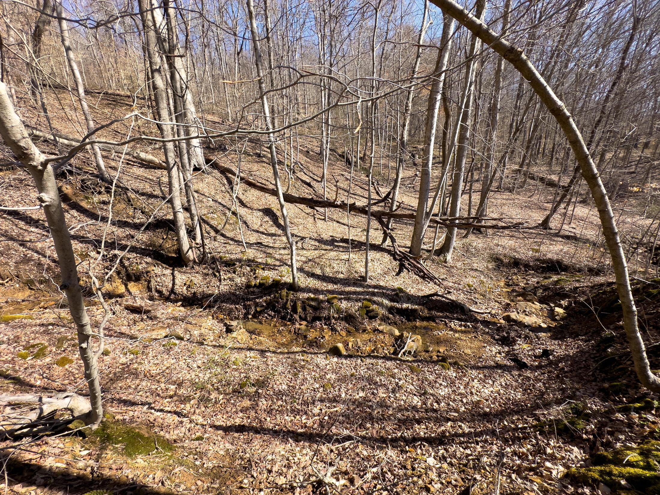 7583 Blue Creek Road, Stout, Ohio image 38