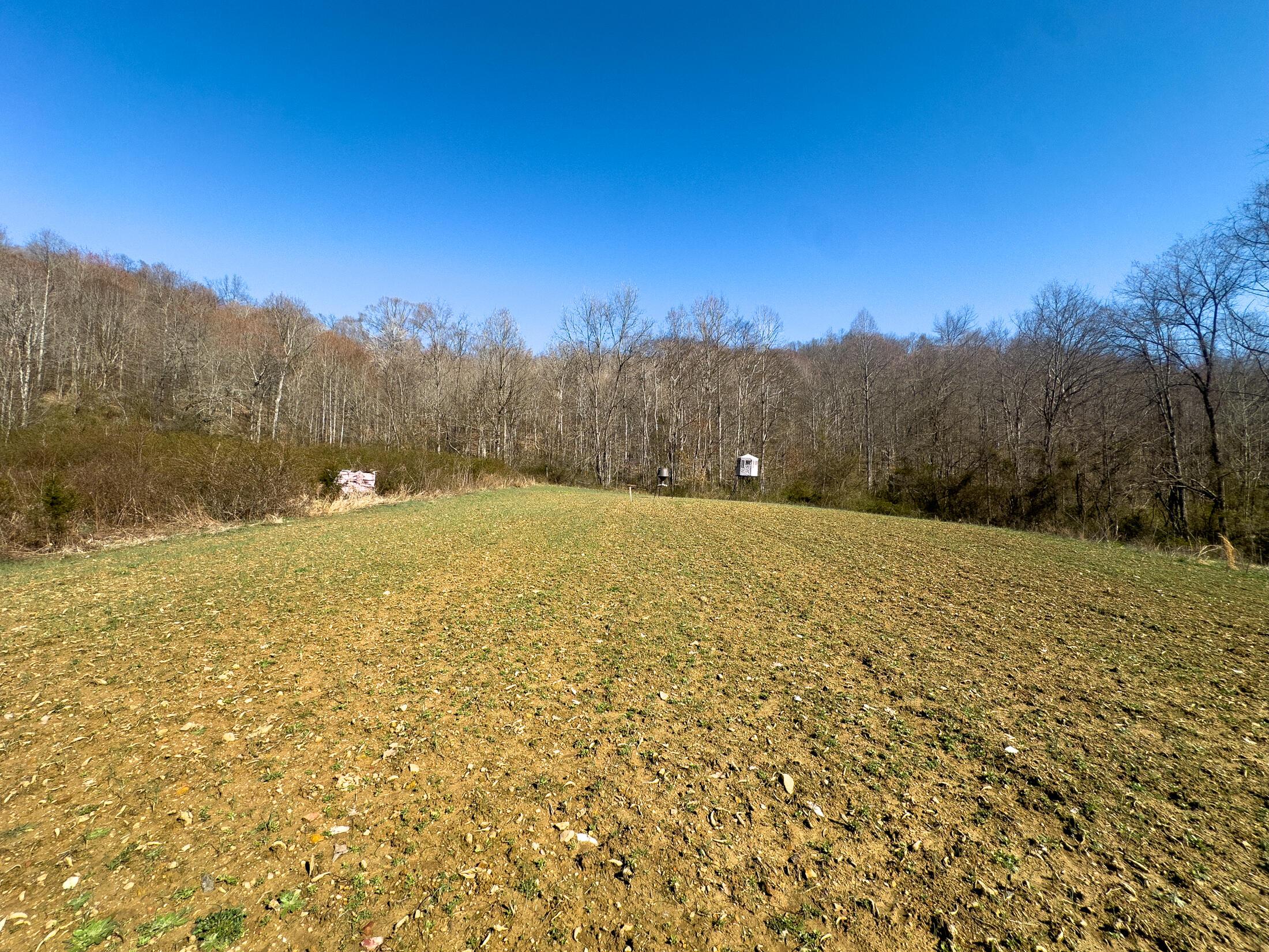 7583 Blue Creek Road, Stout, Ohio image 42