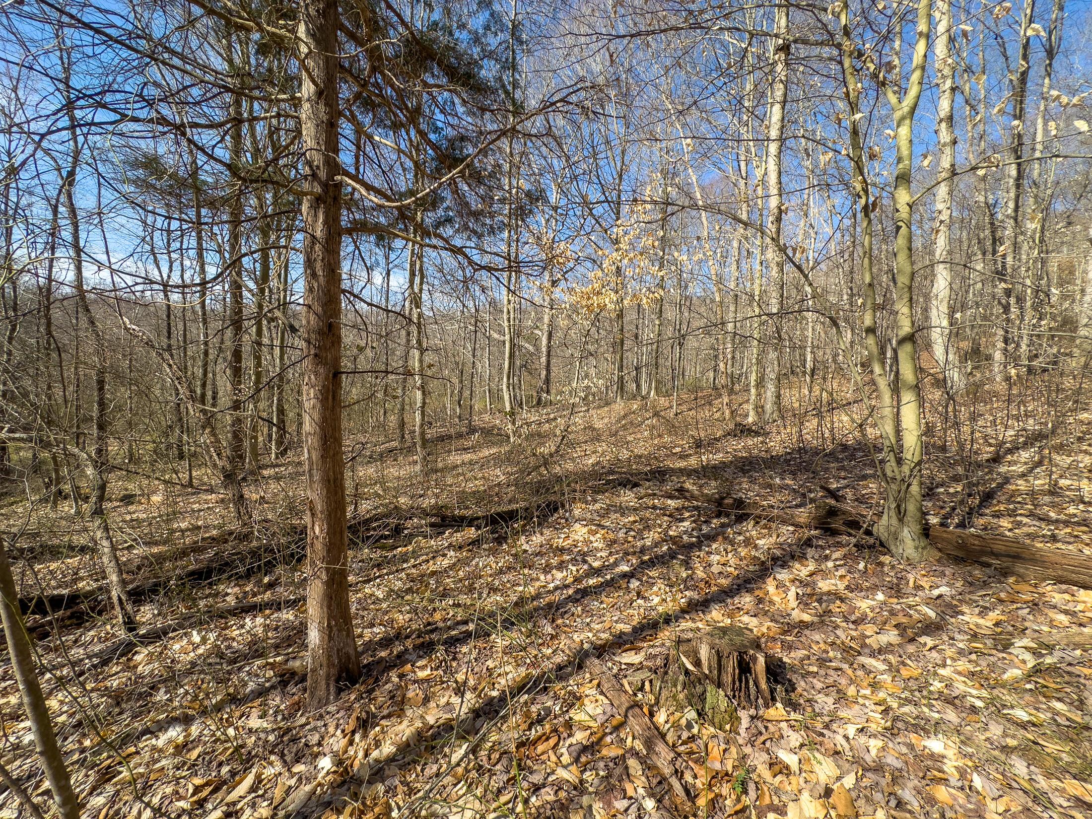 7583 Blue Creek Road, Stout, Ohio image 29