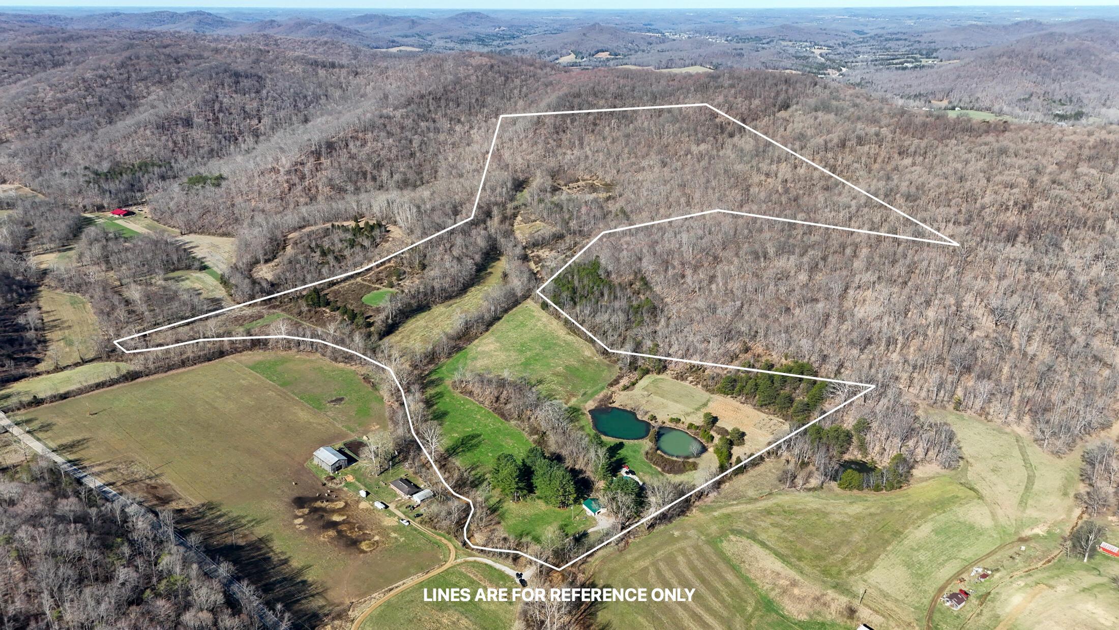 7583 Blue Creek Road, Stout, Ohio image 1