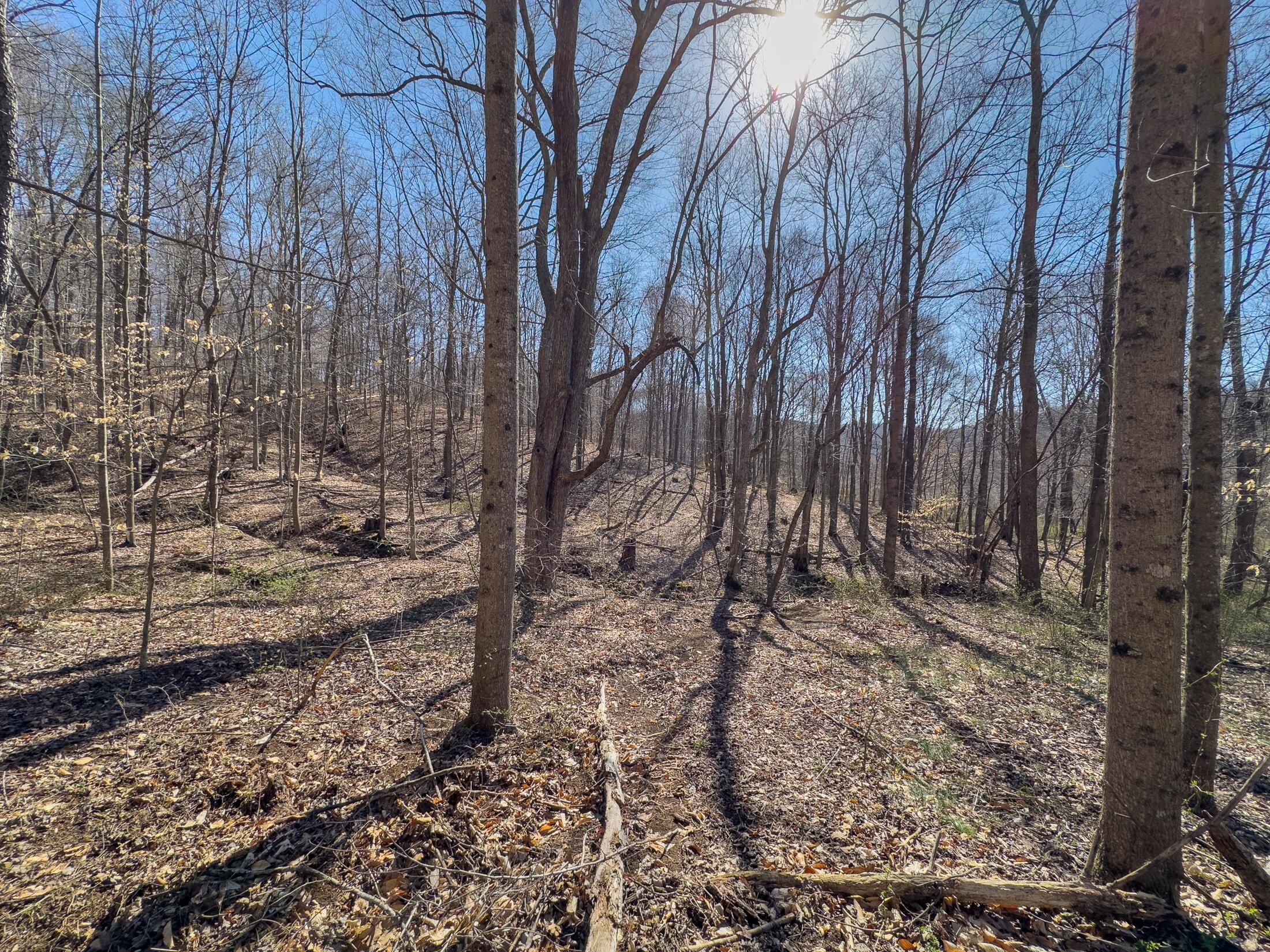 7583 Blue Creek Road, Stout, Ohio image 25