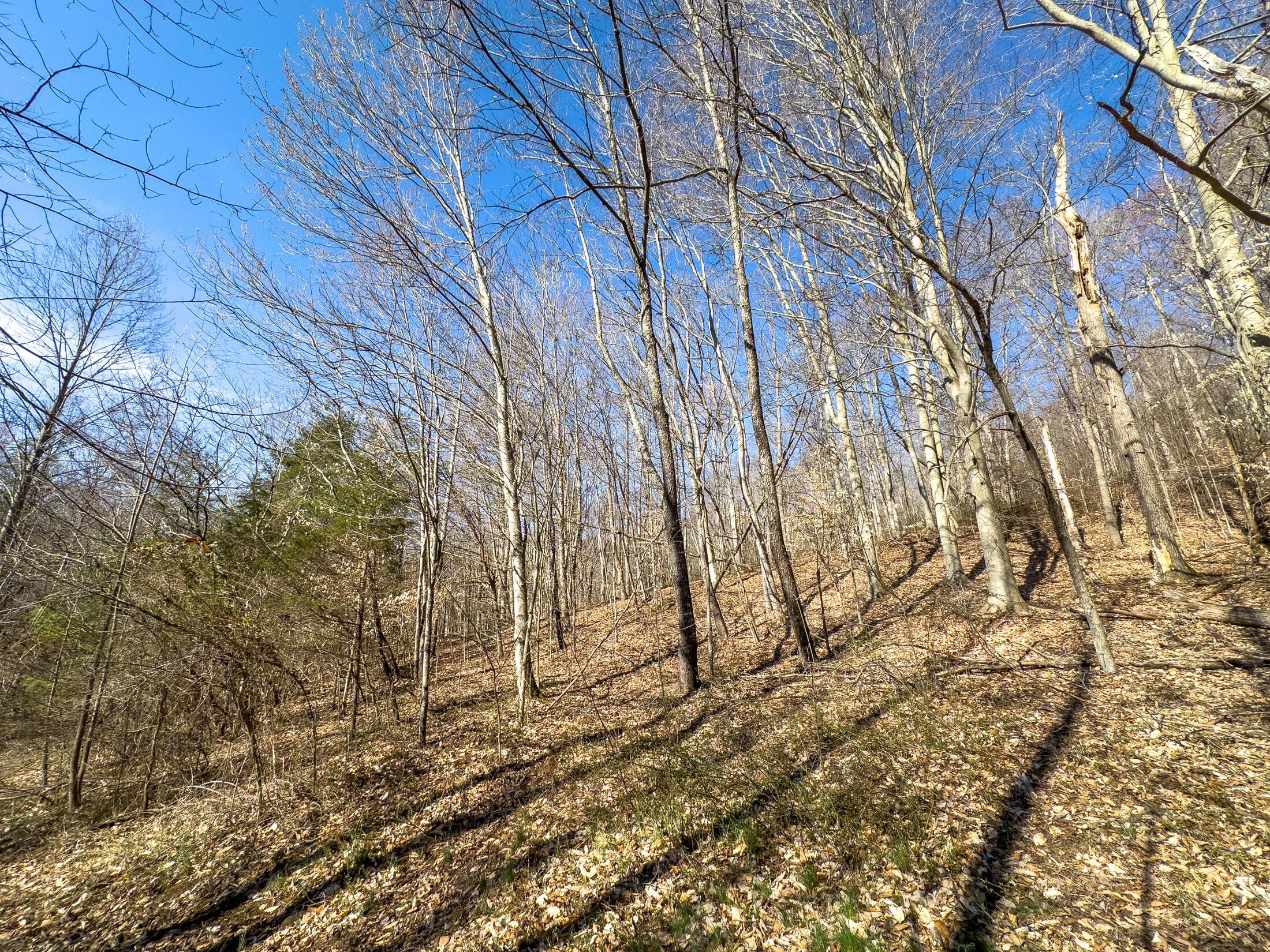 7583 Blue Creek Road, Stout, Ohio image 24