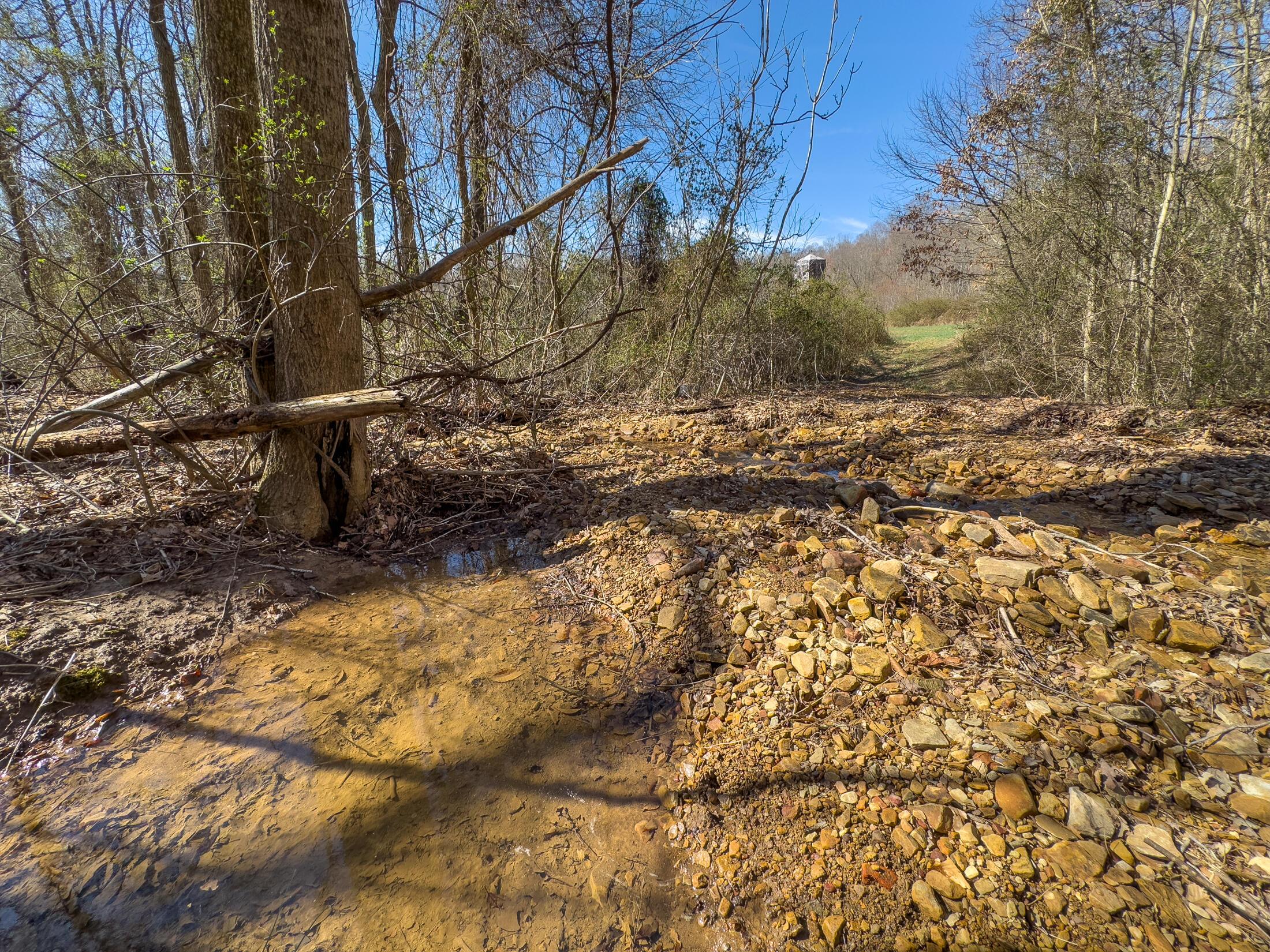 7583 Blue Creek Road, Stout, Ohio image 34