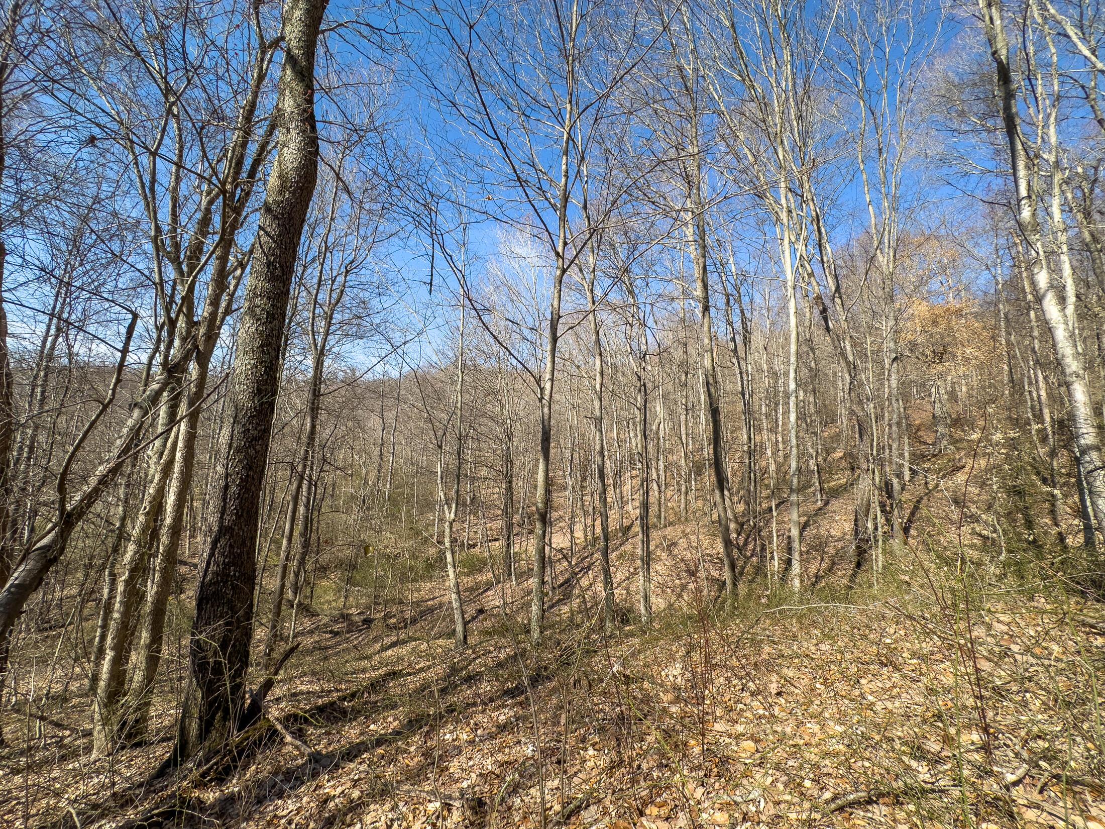 7583 Blue Creek Road, Stout, Ohio image 32