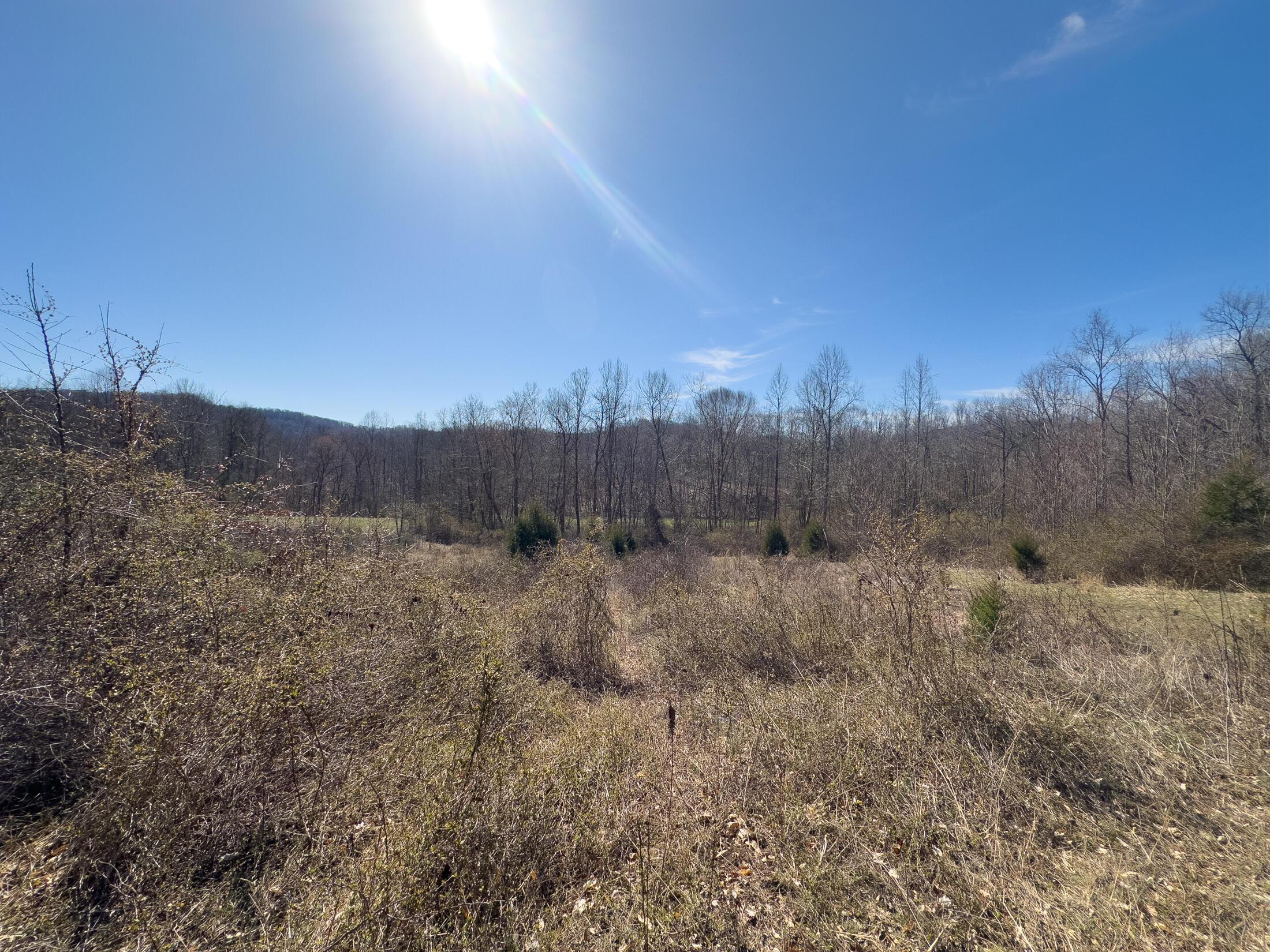 7583 Blue Creek Road, Stout, Ohio image 39