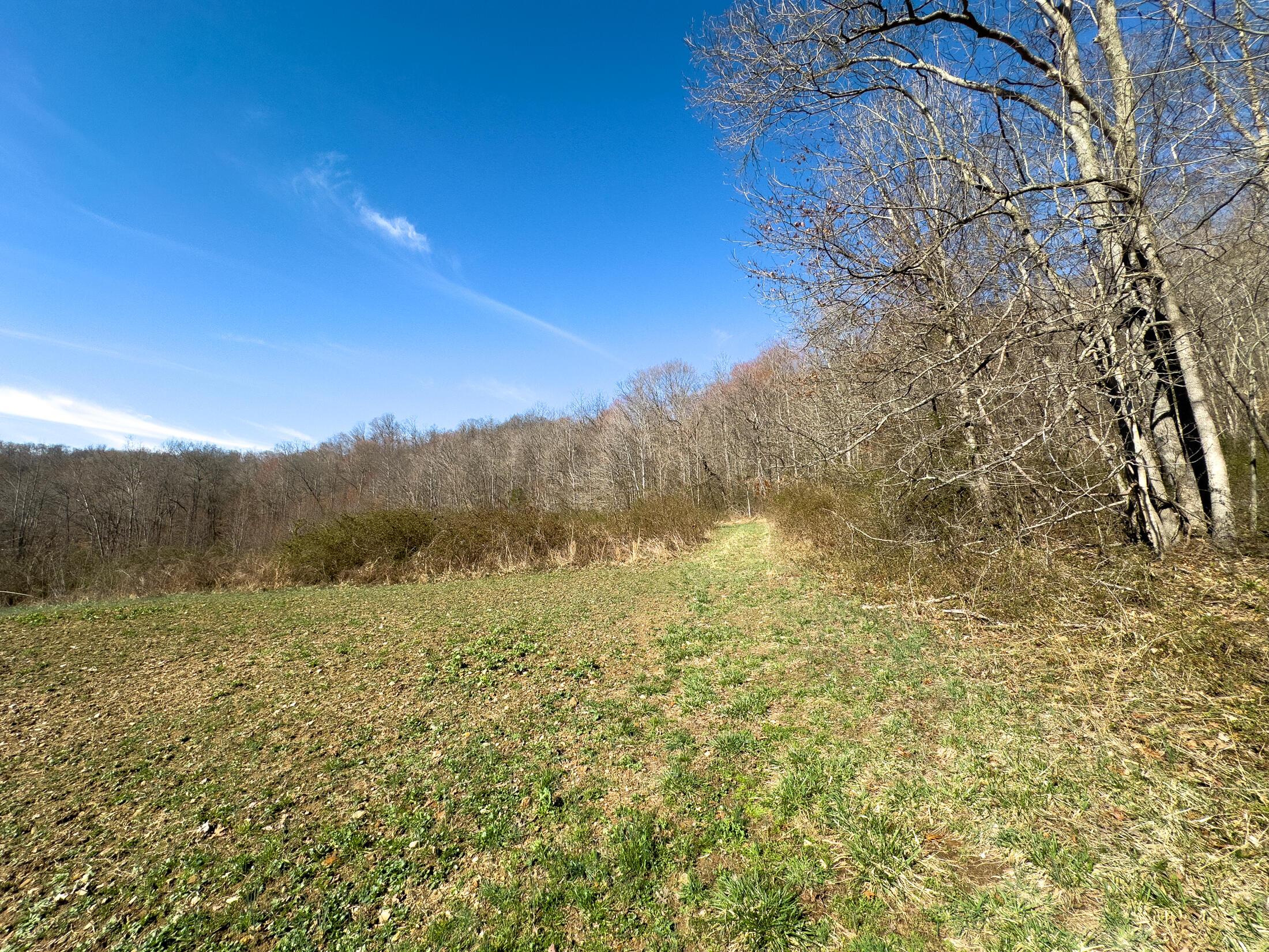 7583 Blue Creek Road, Stout, Ohio image 36