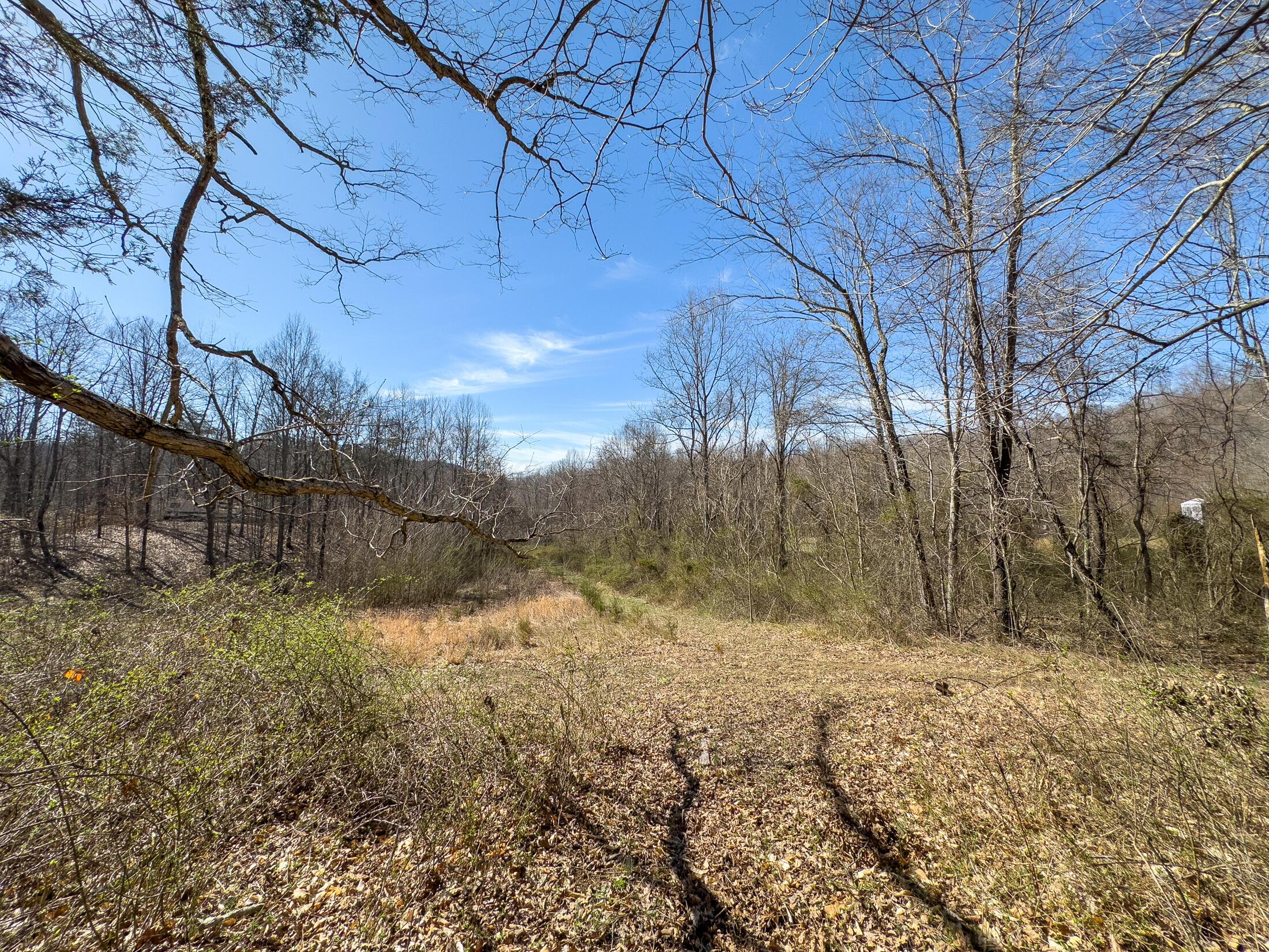 7583 Blue Creek Road, Stout, Ohio image 33