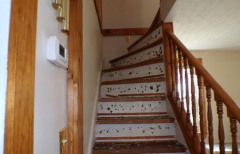 Tiny photo for 15944 Jefferson Street, Bellevue, OH 44811 (MLS # 225037758)