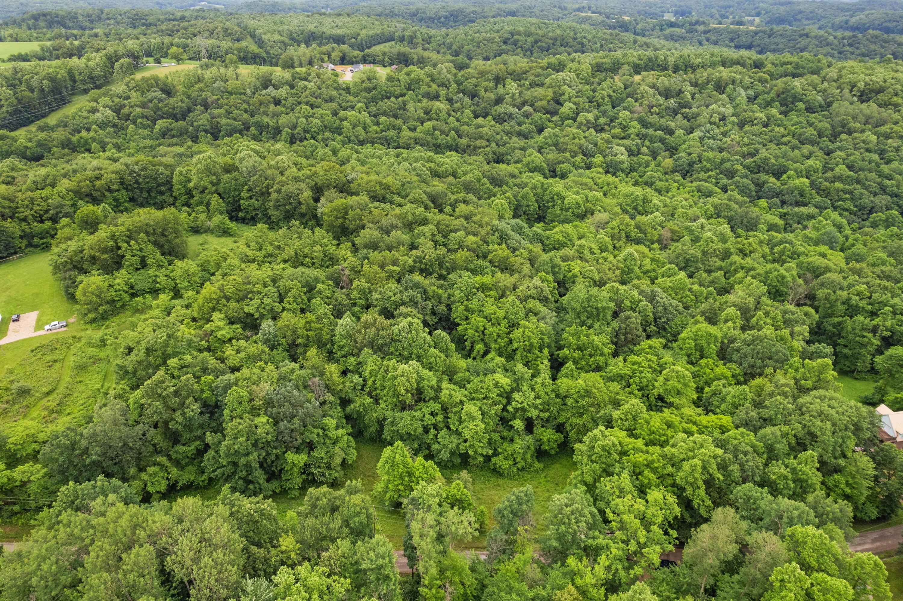 Frazeysburg, Ohio 43822, United States, ,Land,Contingent,162963