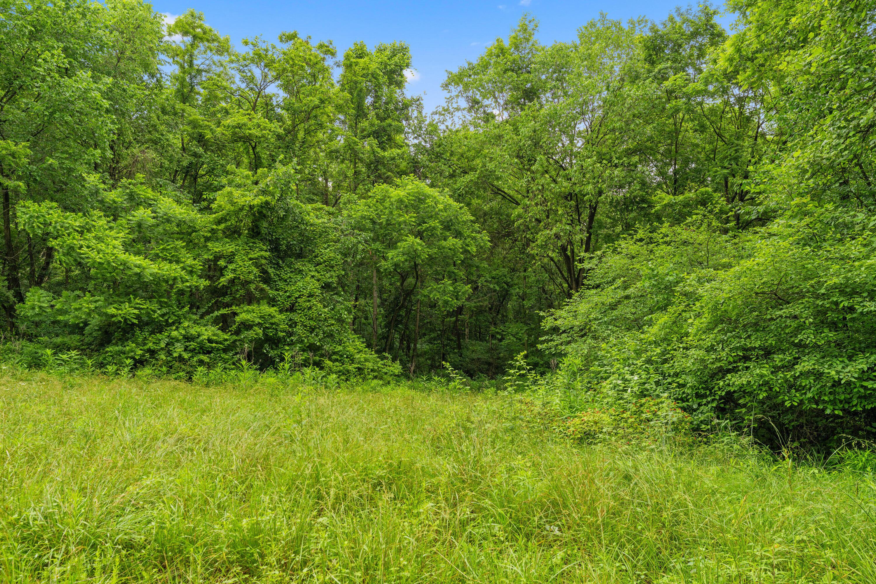 Frazeysburg, Ohio 43822, United States, ,Land,Contingent,162963