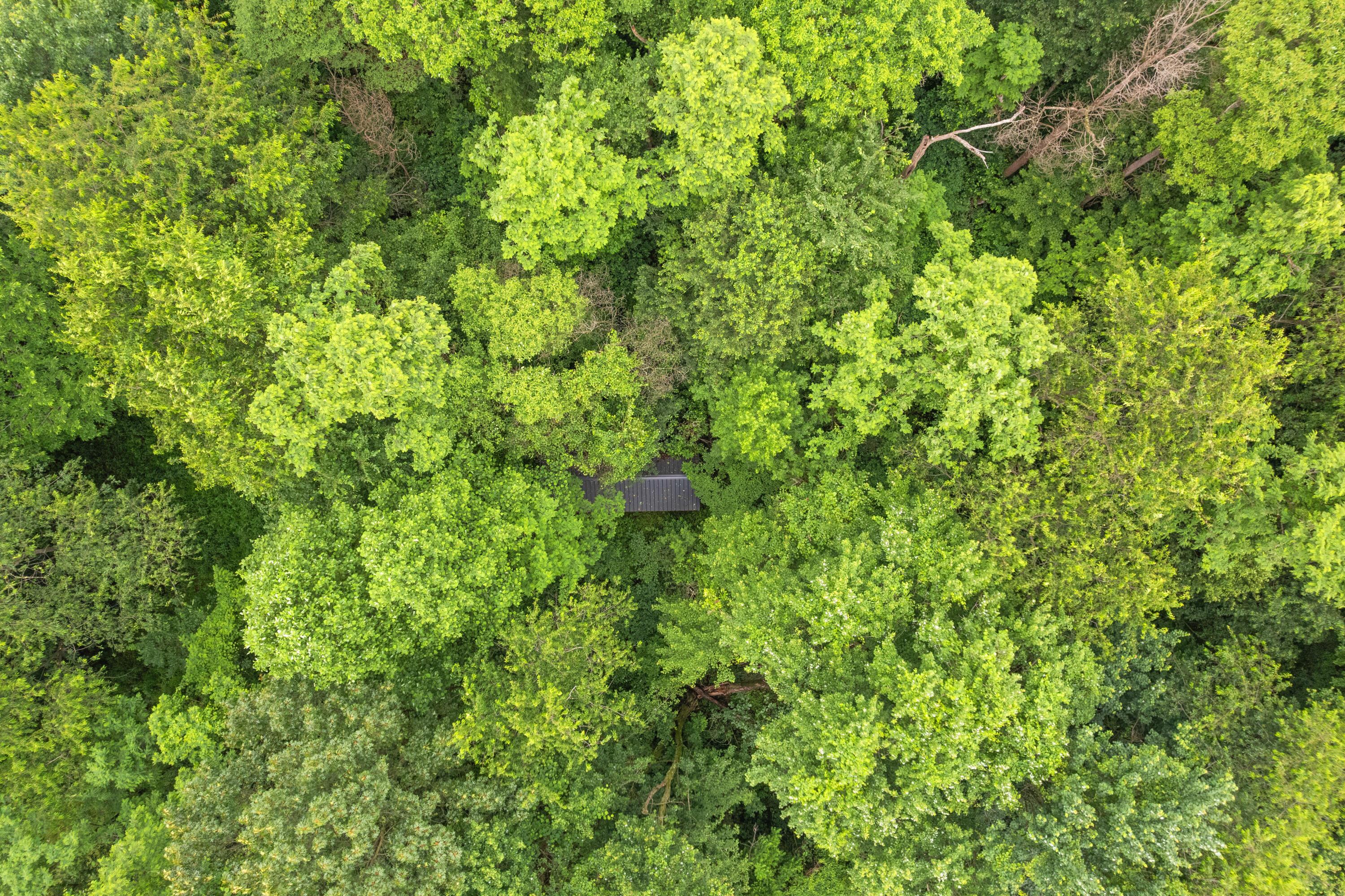 Frazeysburg, Ohio 43822, United States, ,Land,Contingent,162963