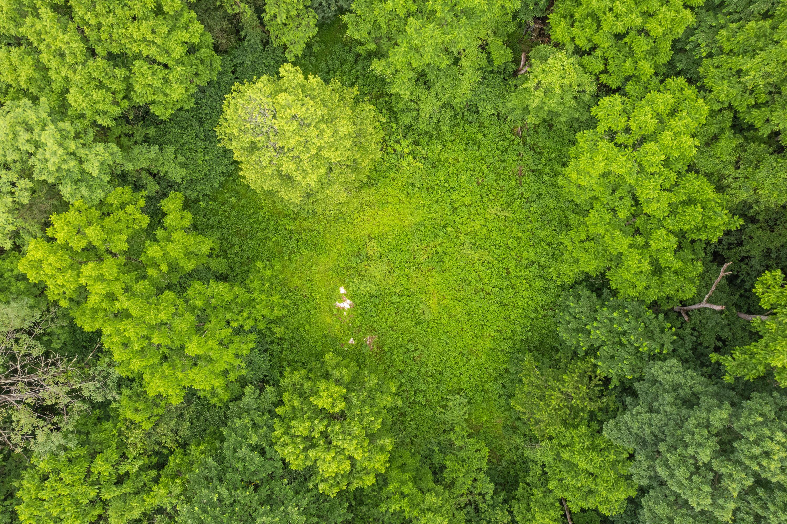 Frazeysburg, Ohio 43822, United States, ,Land,Contingent,162963