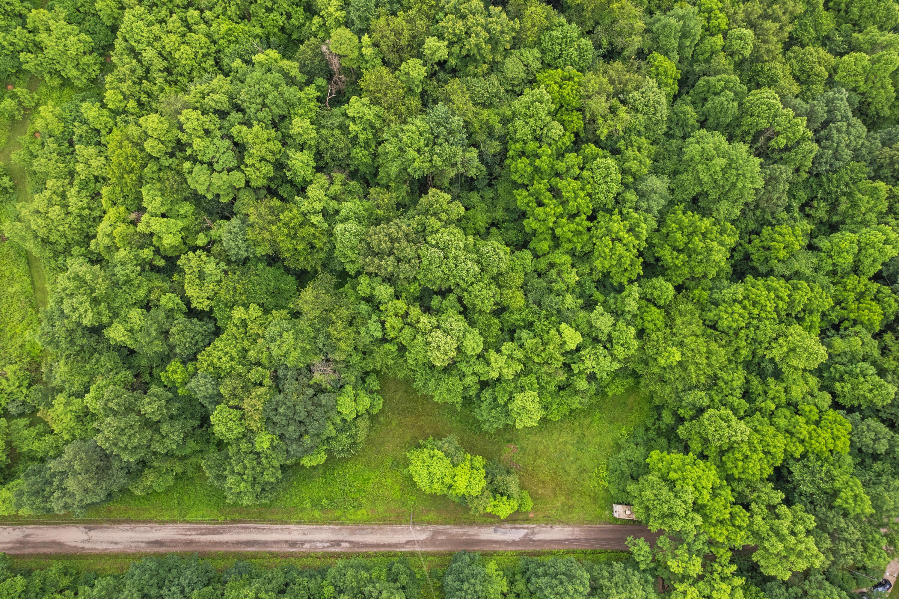 Frazeysburg, Ohio 43822, United States, ,Land,Contingent,162963