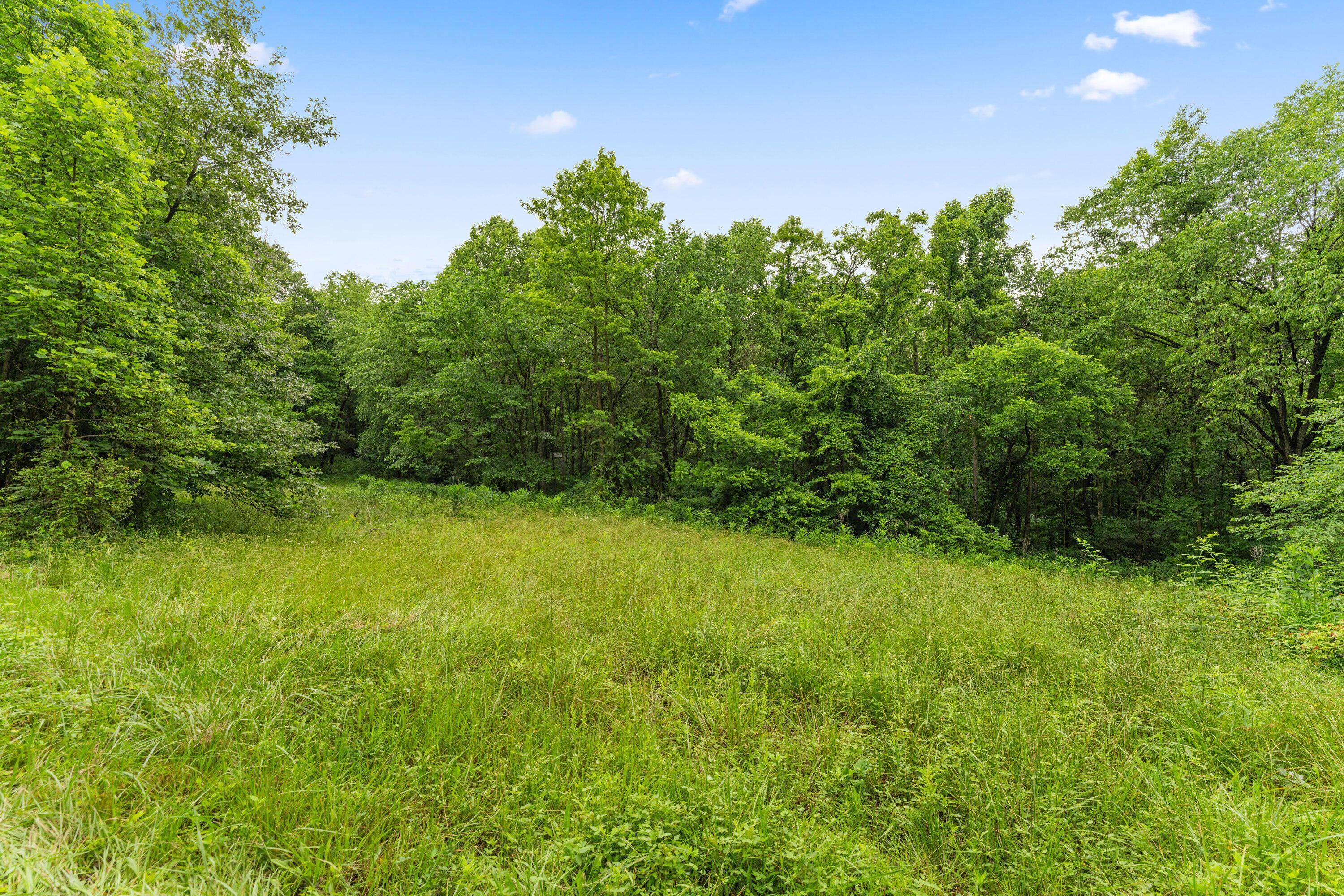 Frazeysburg, Ohio 43822, United States, ,Land,Contingent,162963