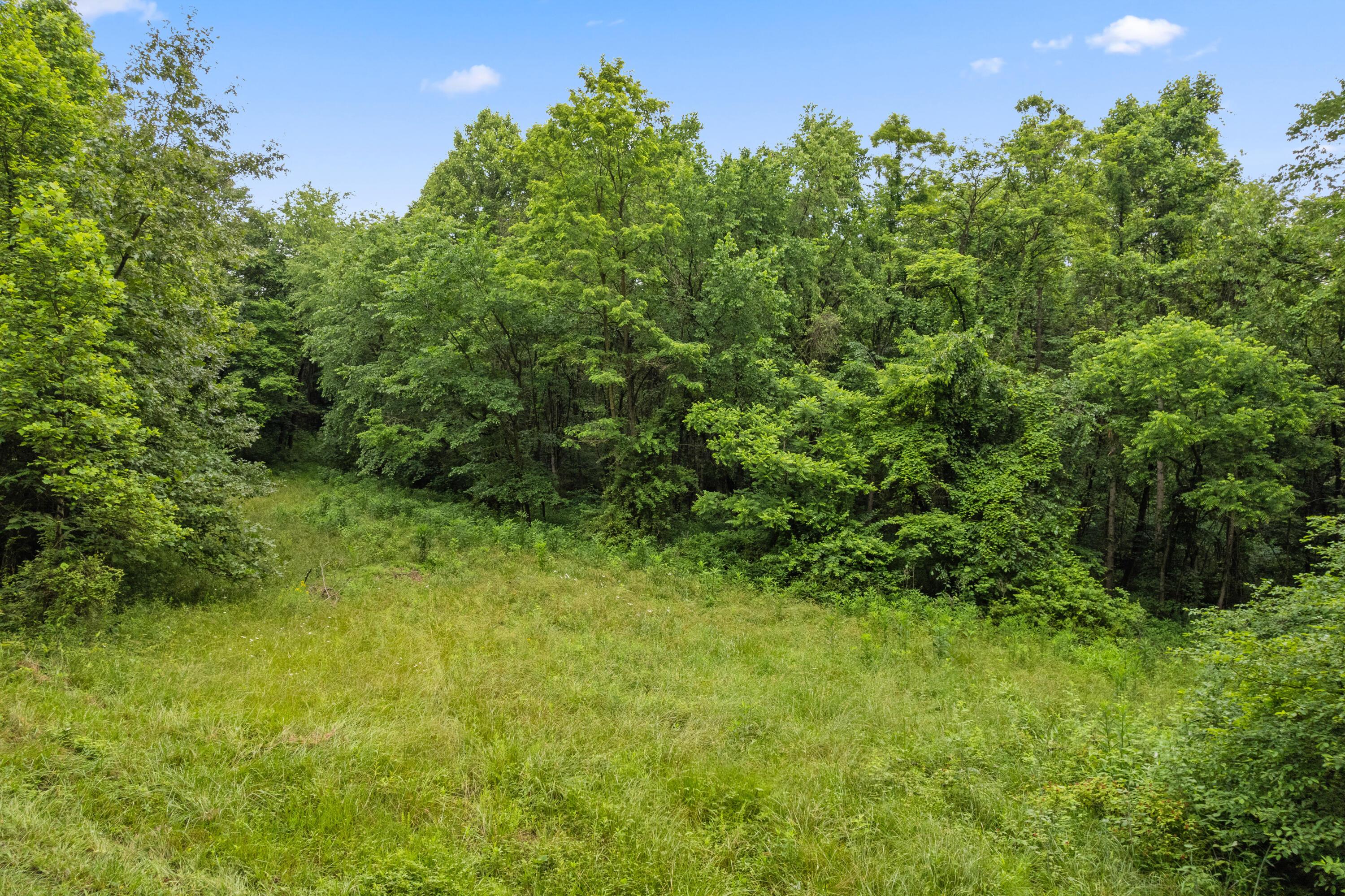 Frazeysburg, Ohio 43822, United States, ,Land,Contingent,162963