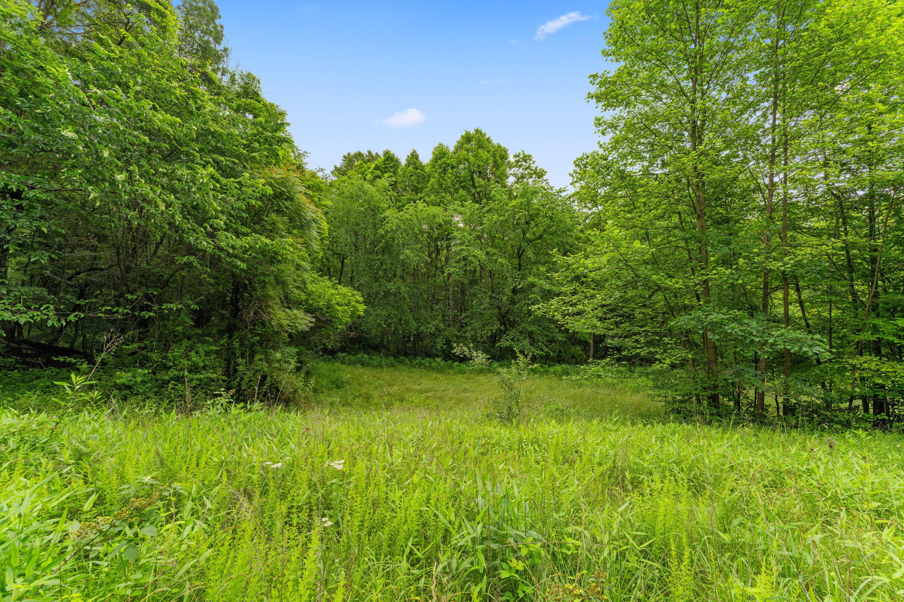 Frazeysburg, Ohio 43822, United States, ,Land,Contingent,162963