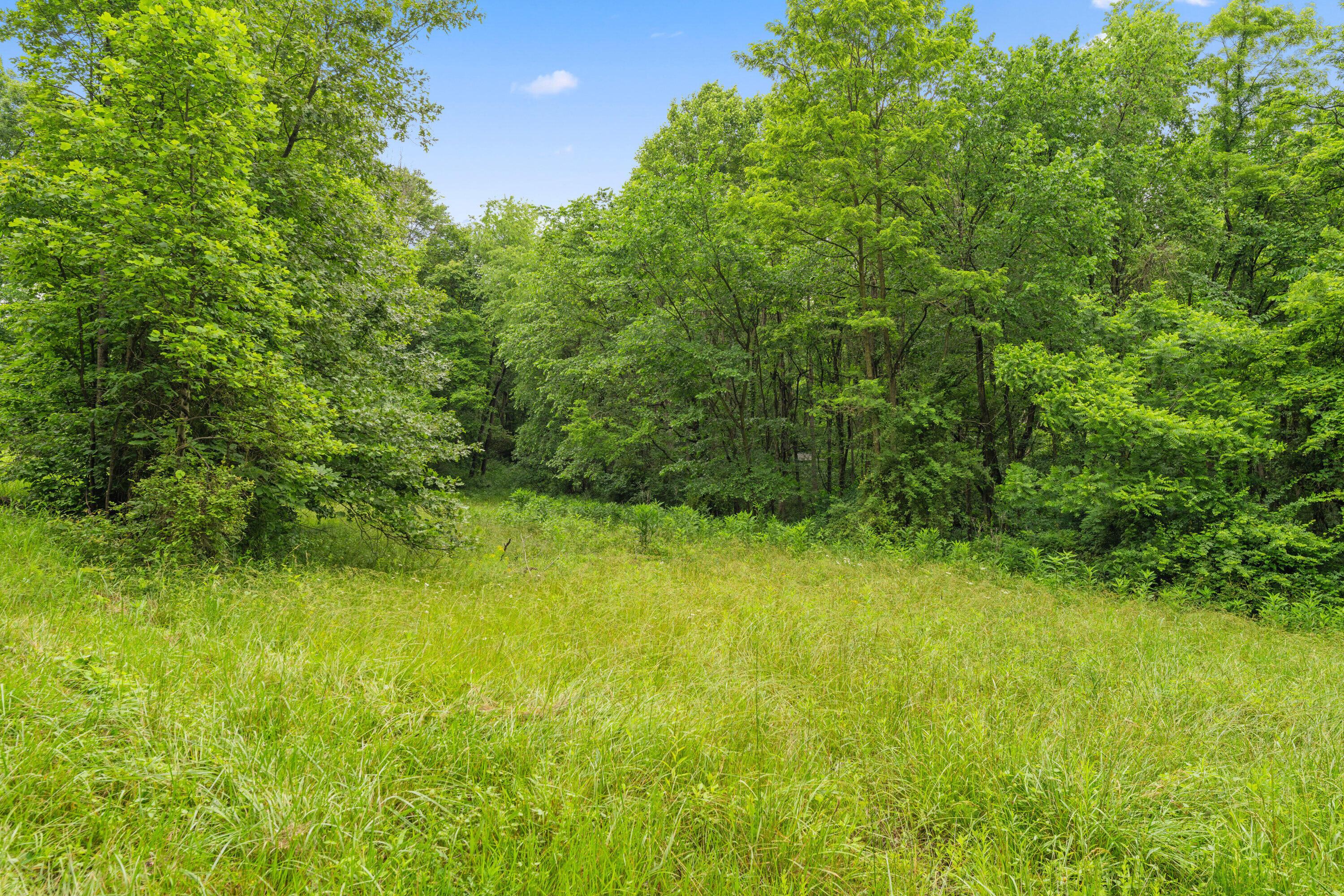 Frazeysburg, Ohio 43822, United States, ,Land,Contingent,162963