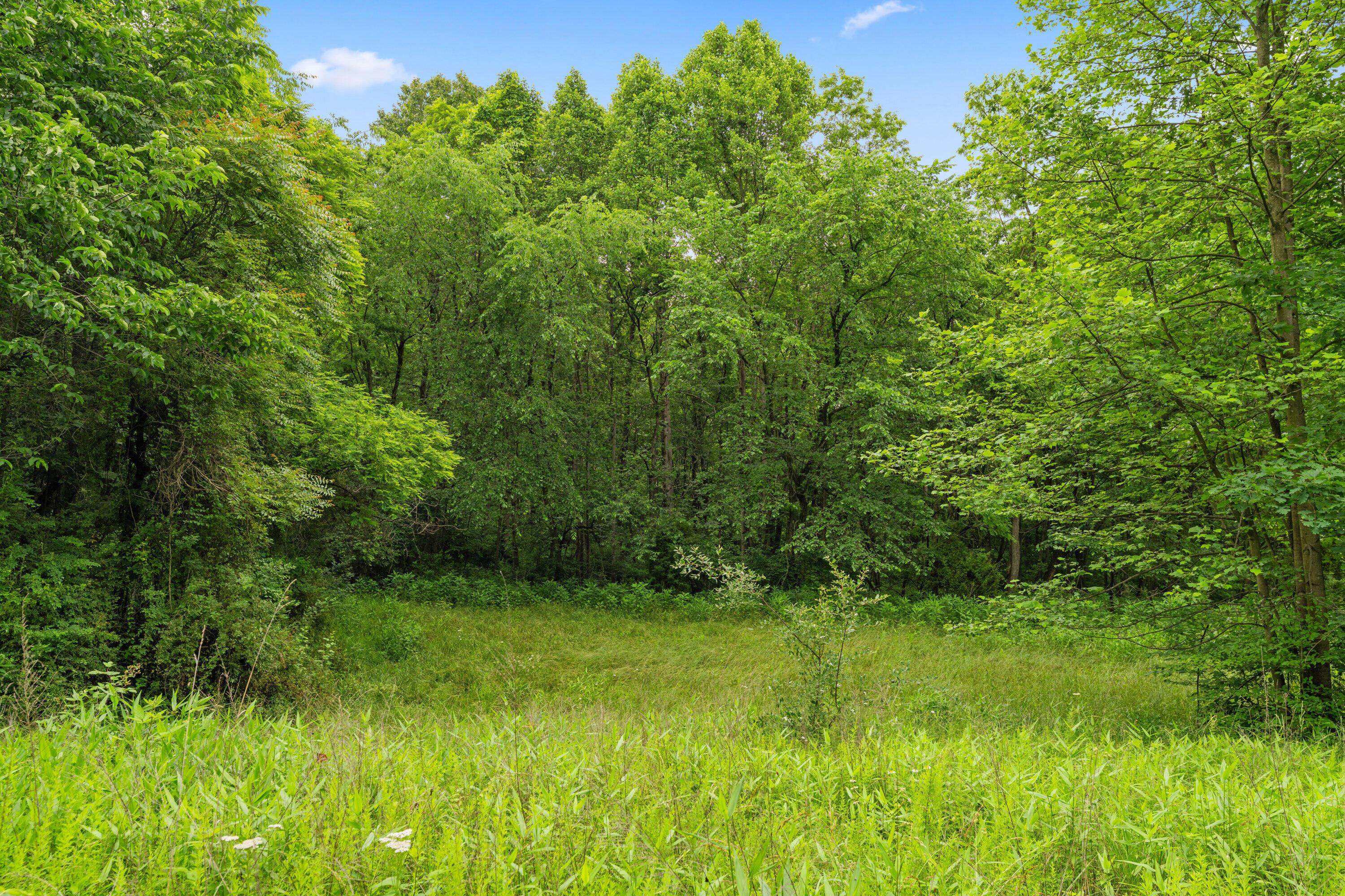 Frazeysburg, Ohio 43822, United States, ,Land,Contingent,162963