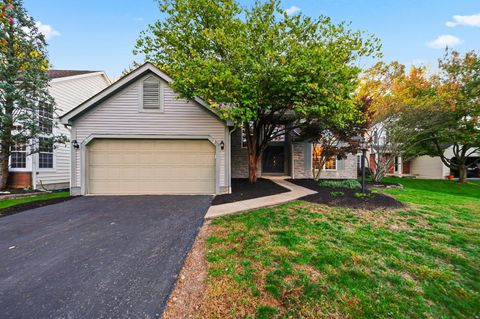 Photo of 5406 Bullfinch Drive, Westerville, OH 43081 (MLS # 225040779)