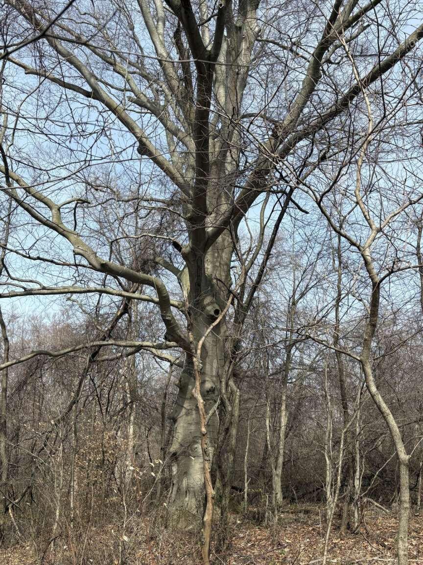 5828 Township Road 14