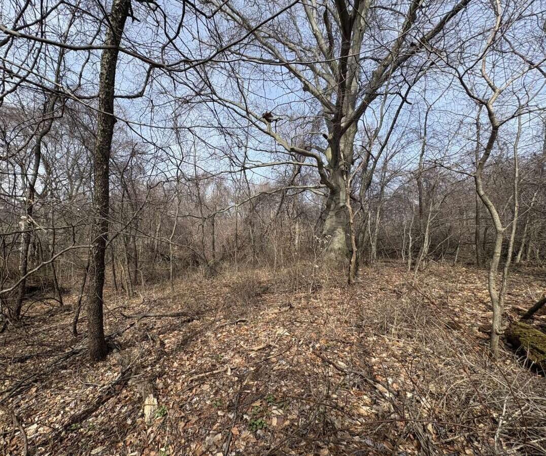 5828 Township Road 14