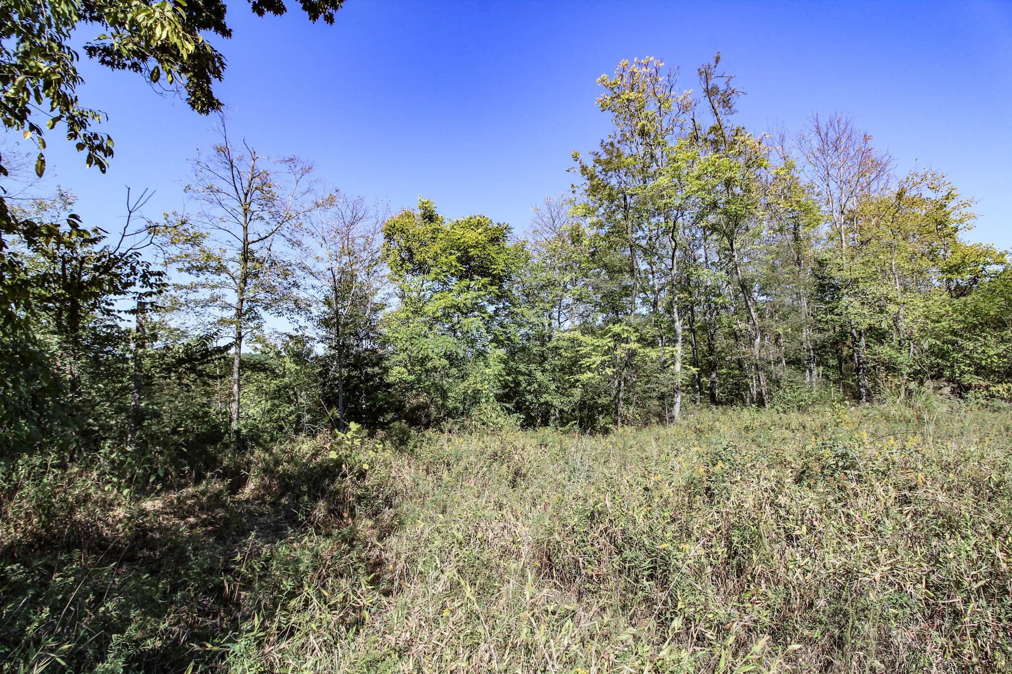 Lot 4 Moss Run Road, Marietta, Ohio image 4