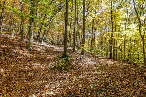 Tiny photo for 14220 State Route 772, Chillicothe, OH 45601 (MLS # 225041886)