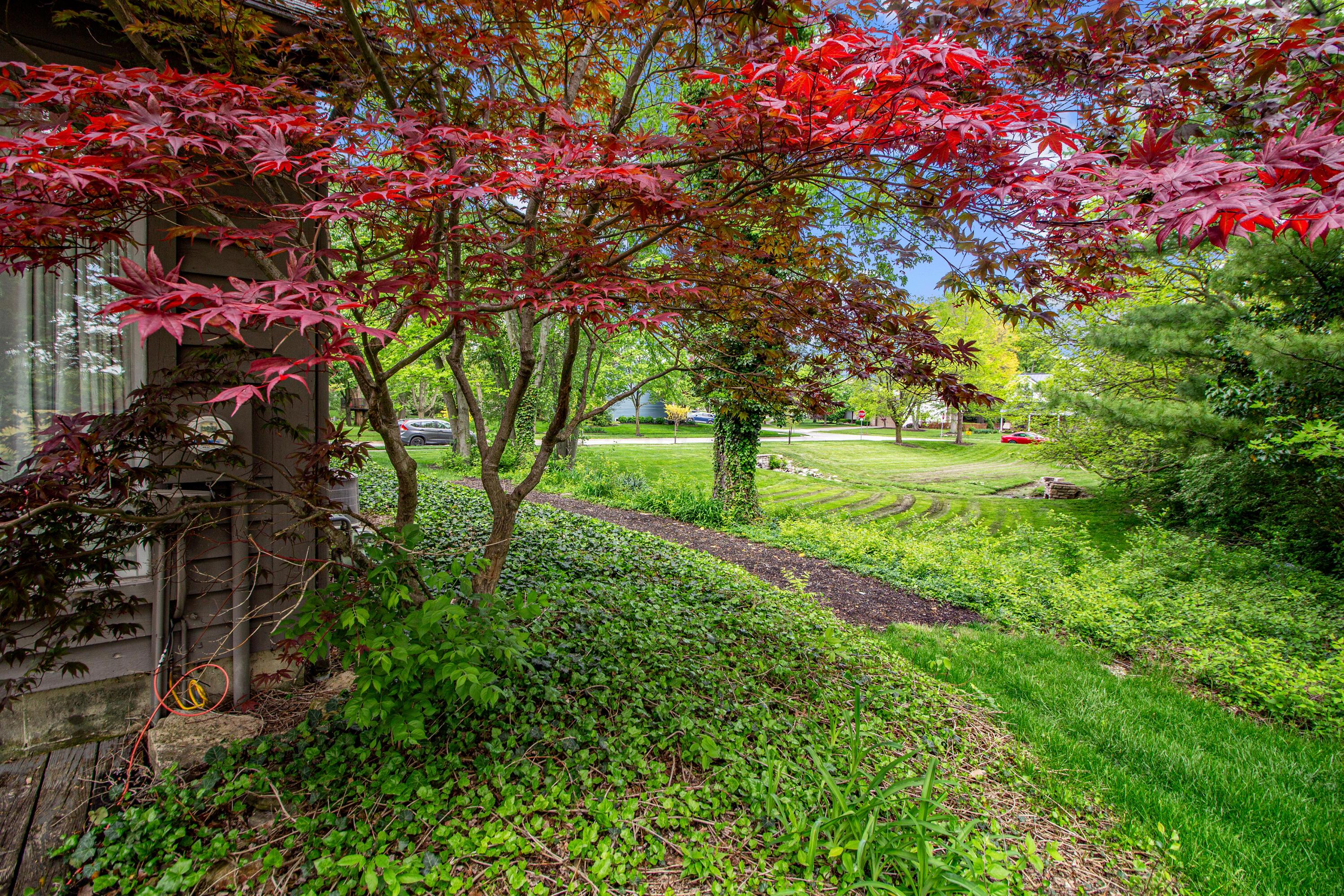 251 Longbranch Drive, Dublin, Ohio image 29