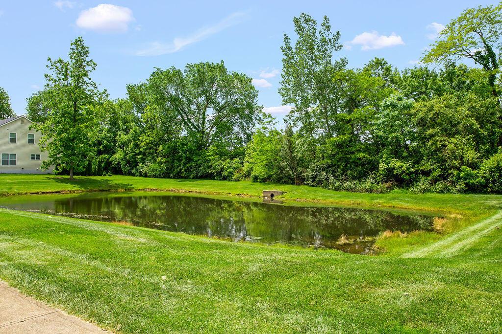 6702 Golden Way, Powell, Ohio image 49