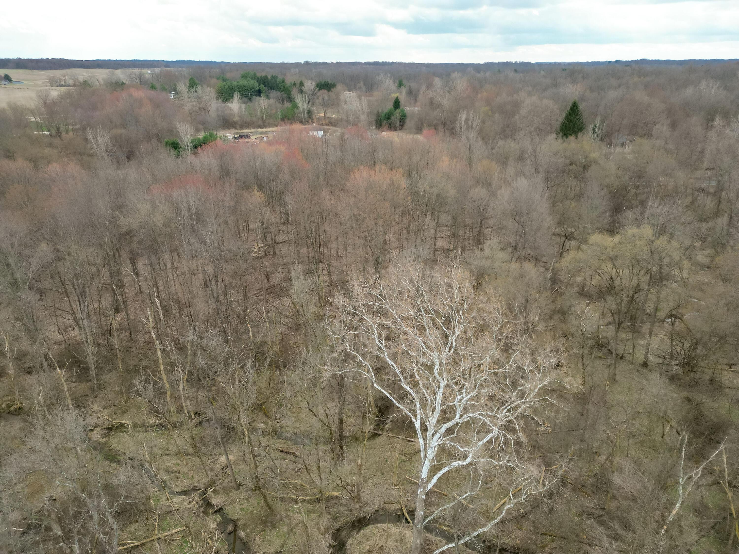 County Road 183, Fredericktown, Ohio image 17