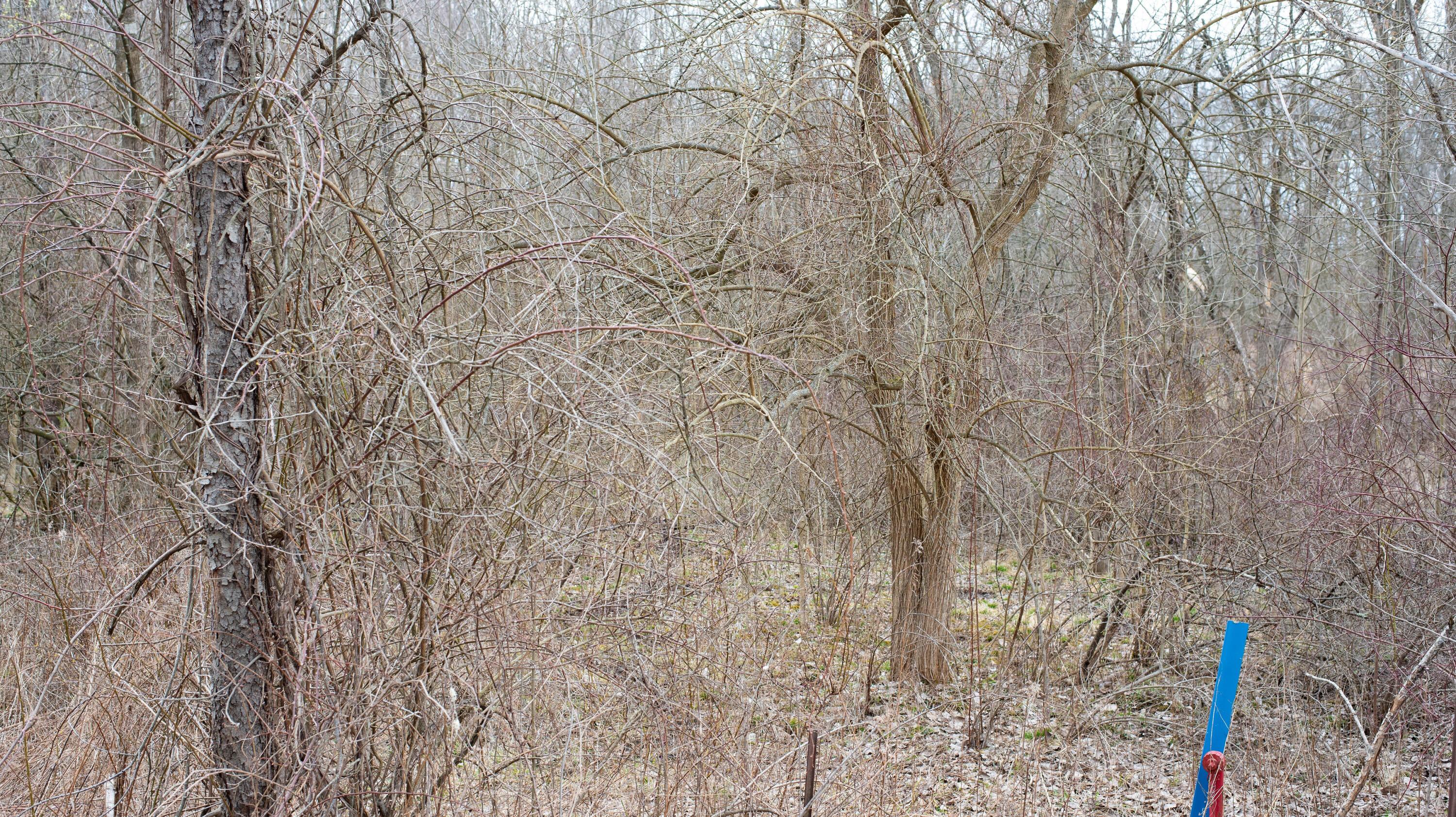 County Road 183, Fredericktown, Ohio image 5