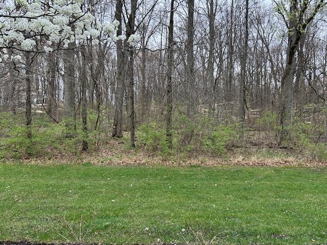 6230 Brickside Drive #25-623, New Albany, Ohio image 12