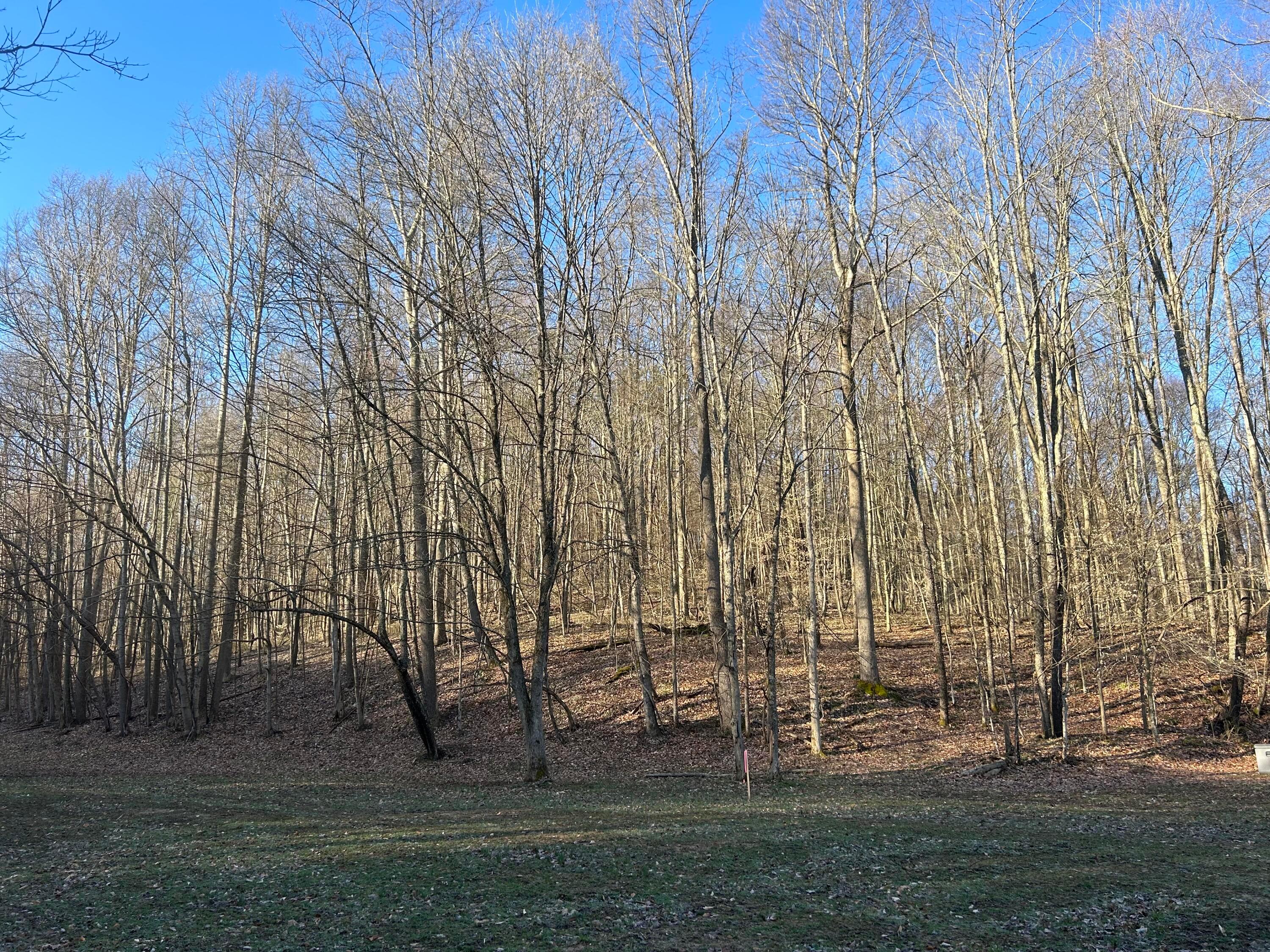 Hansley Road, Sugar Grove, Ohio image 25