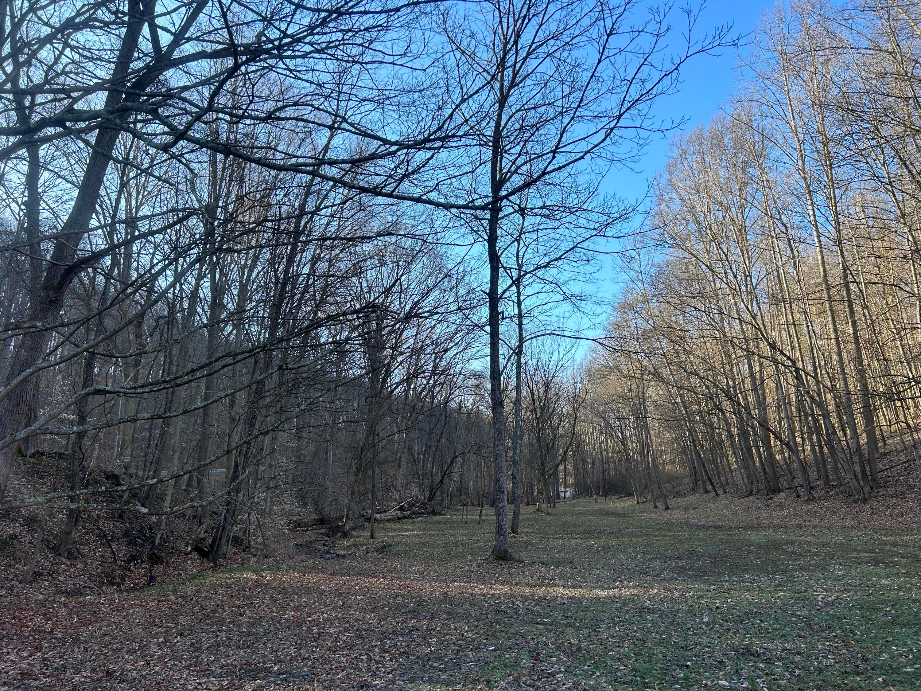 Hansley Road, Sugar Grove, Ohio image 24