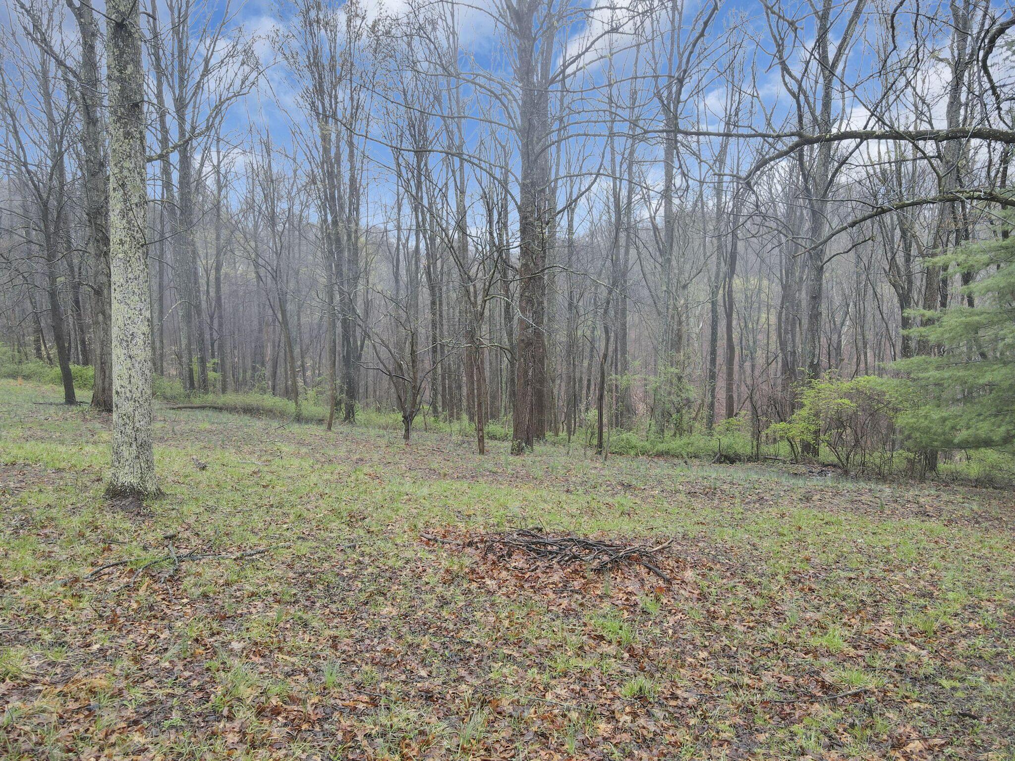 Lake Road, Lancaster, Ohio image 8