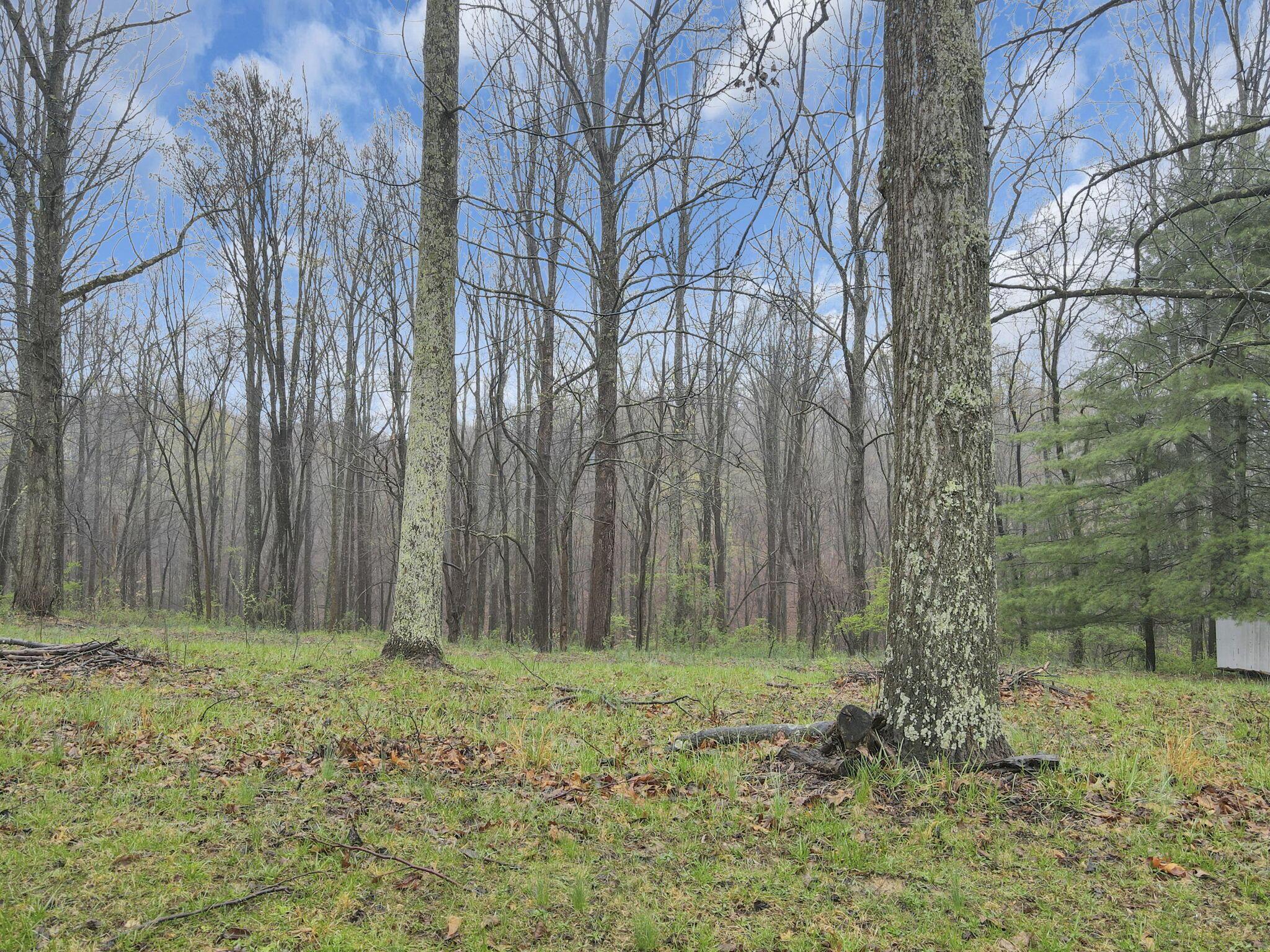 Lake Road, Lancaster, Ohio image 1