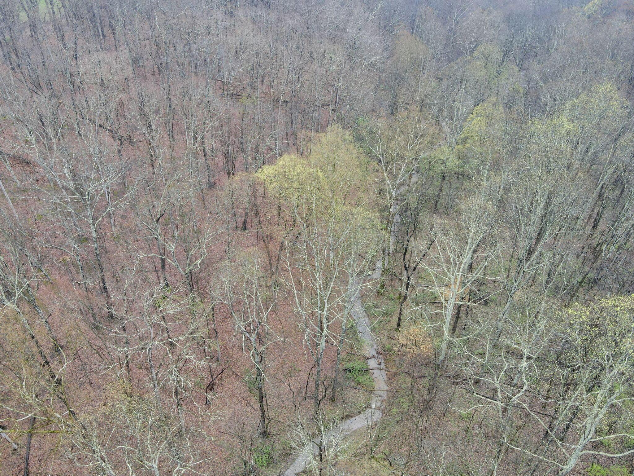 Lake Road, Lancaster, Ohio image 10