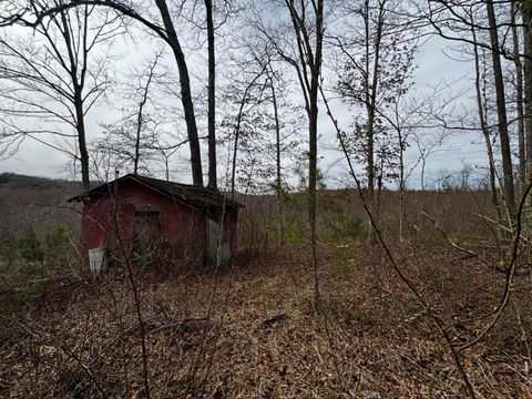 Photo of 799 Woodruff Road, Vinton, OH 45686 (MLS # 226007598)