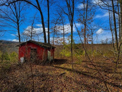 Vacant Land For Sale - 799 Woodruff Road<br/> Vinton, OH 45686
