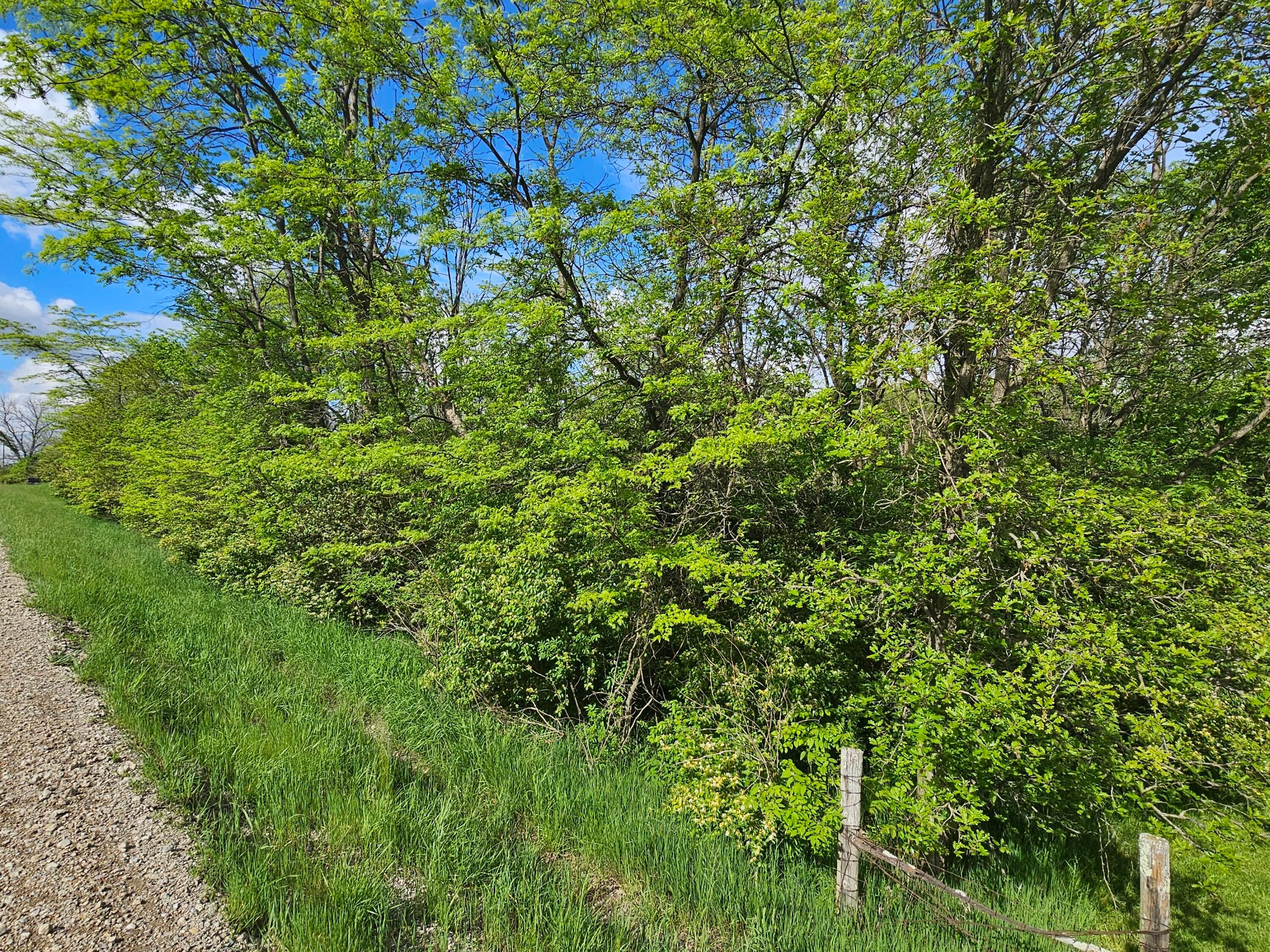 Stafford Road, Greenfield, Ohio image 5