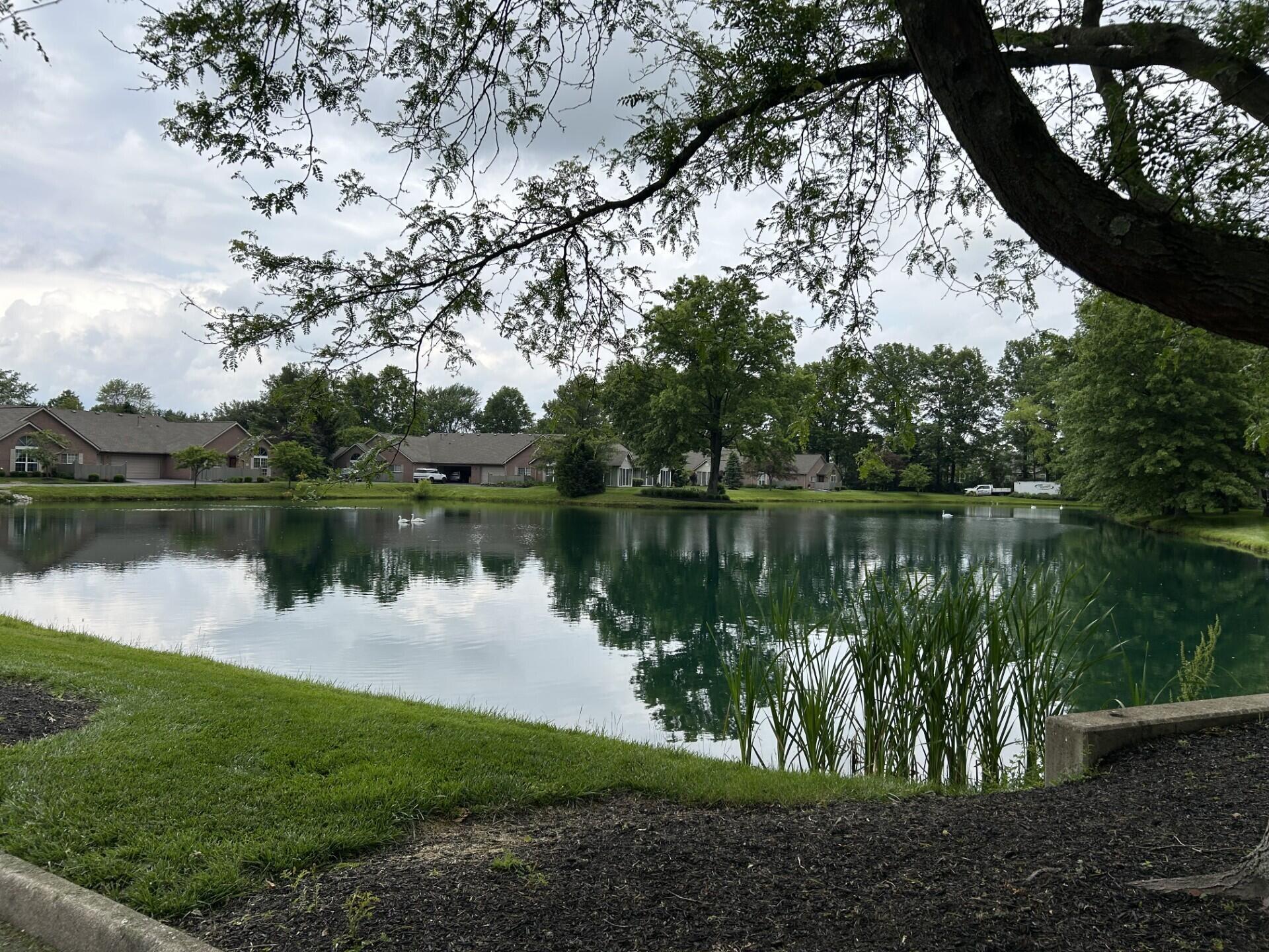6053 Blendon Chase Drive, Westerville, Ohio image 33