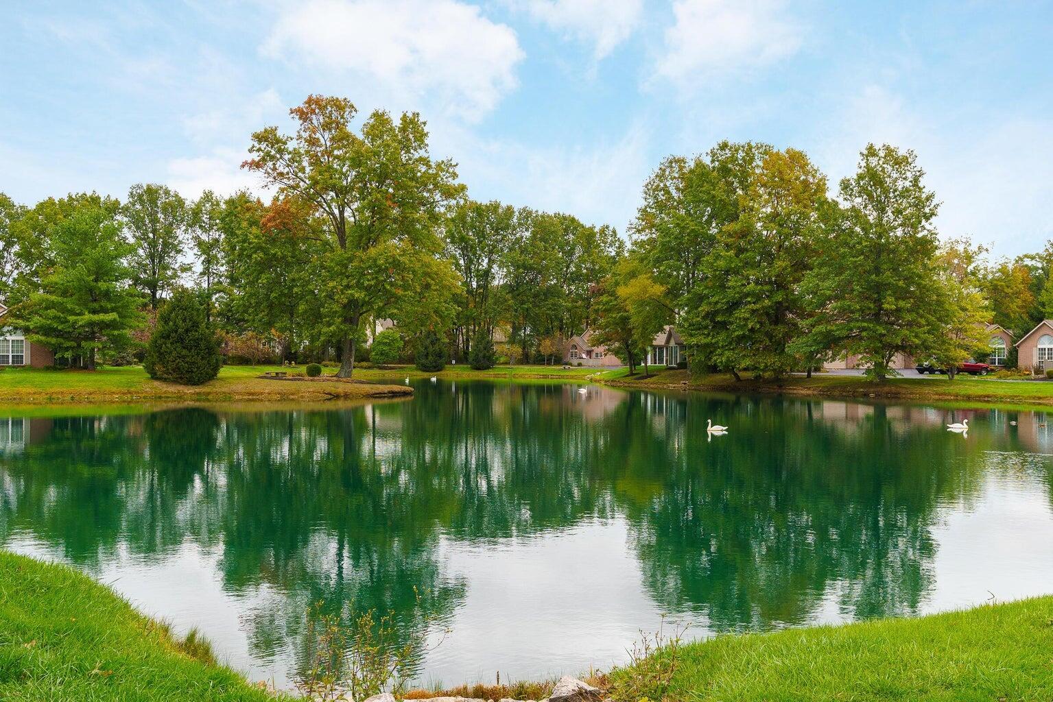 6053 Blendon Chase Drive, Westerville, Ohio image 5
