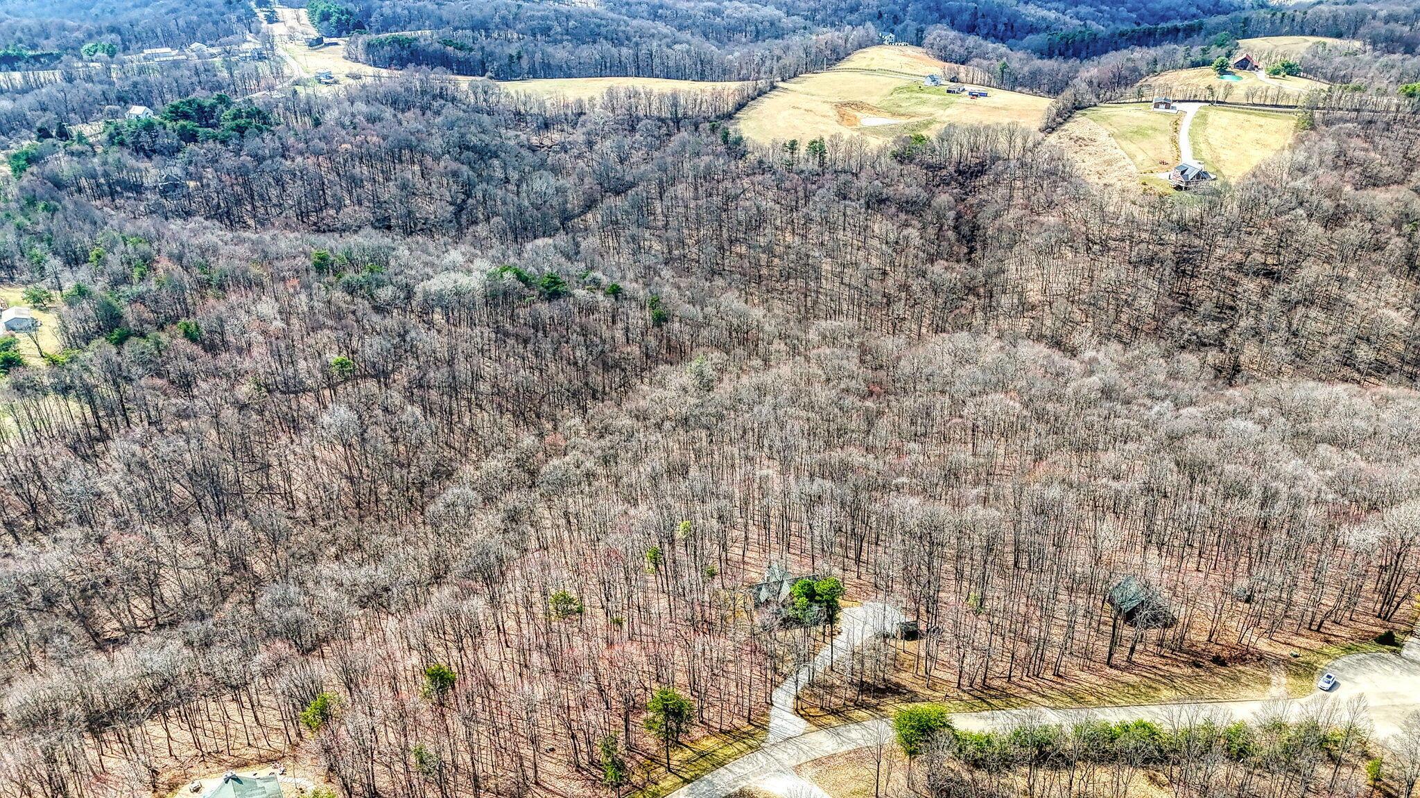 11773 Woodland Ridge Road, Rockbridge, Ohio image 11