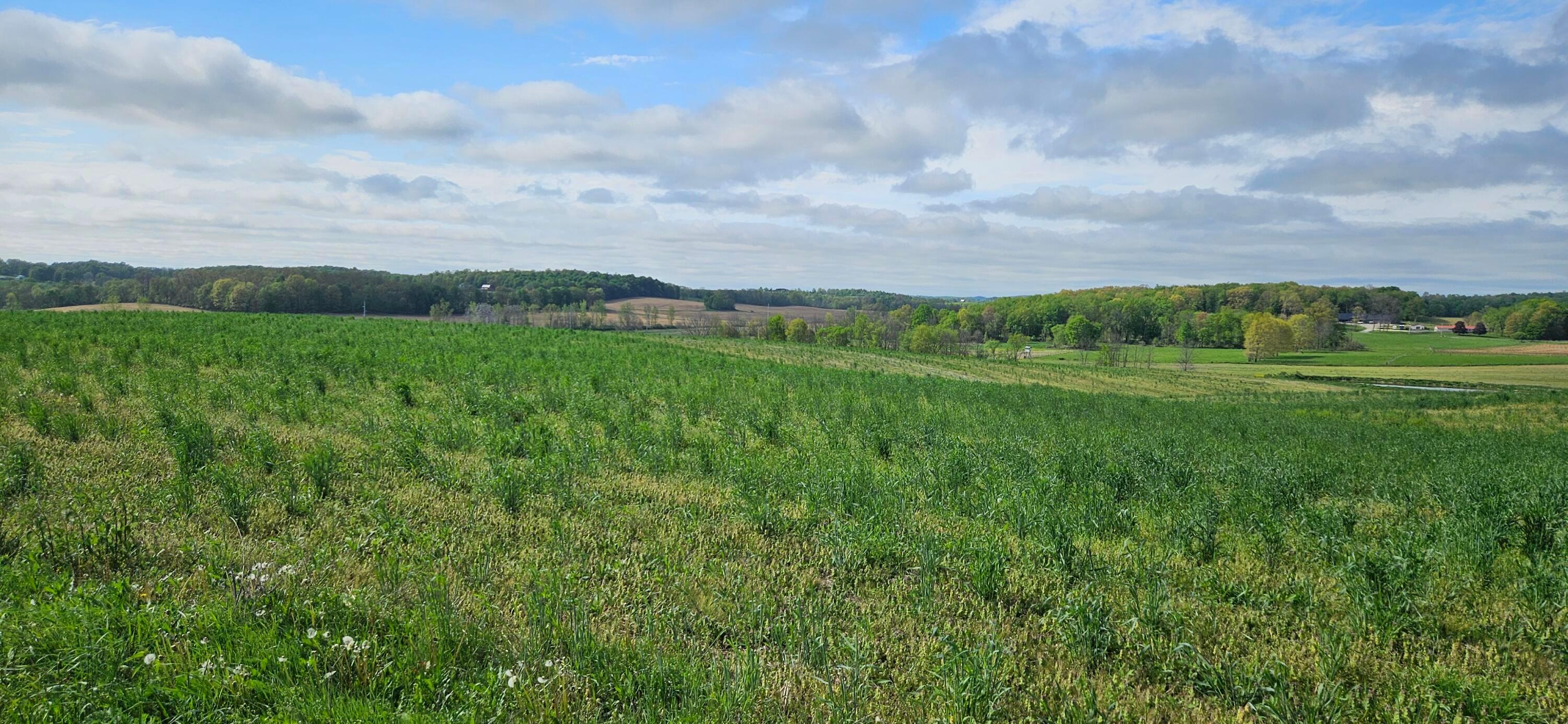 Divelbiss Road, Fredericktown, Ohio image 19