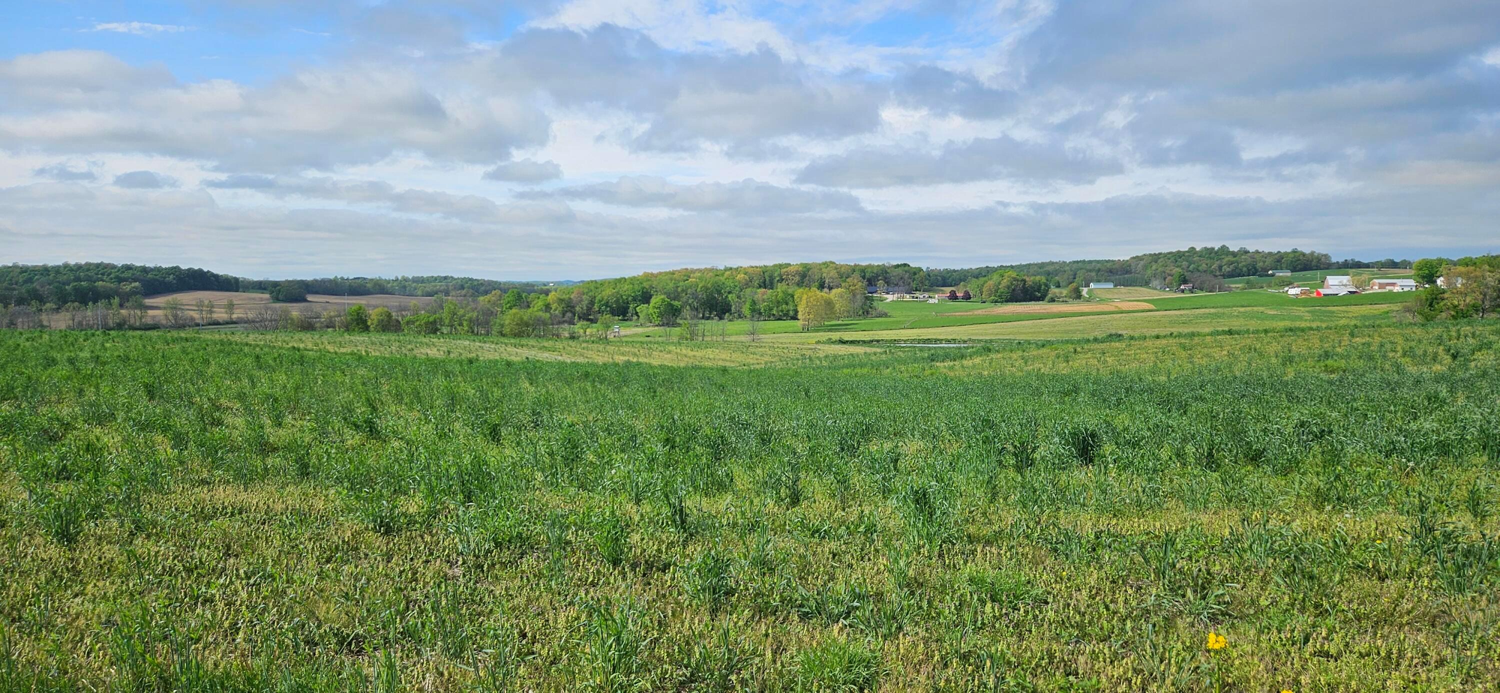 Divelbiss Road, Fredericktown, Ohio image 15